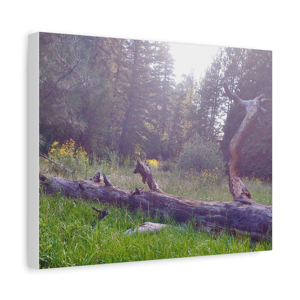 Matte Canvas Wall Art - Serene Nature Scene, Perfect for Home Decor, Gift for Nature Lovers, Office Wall Decoration, Rustic Art Print