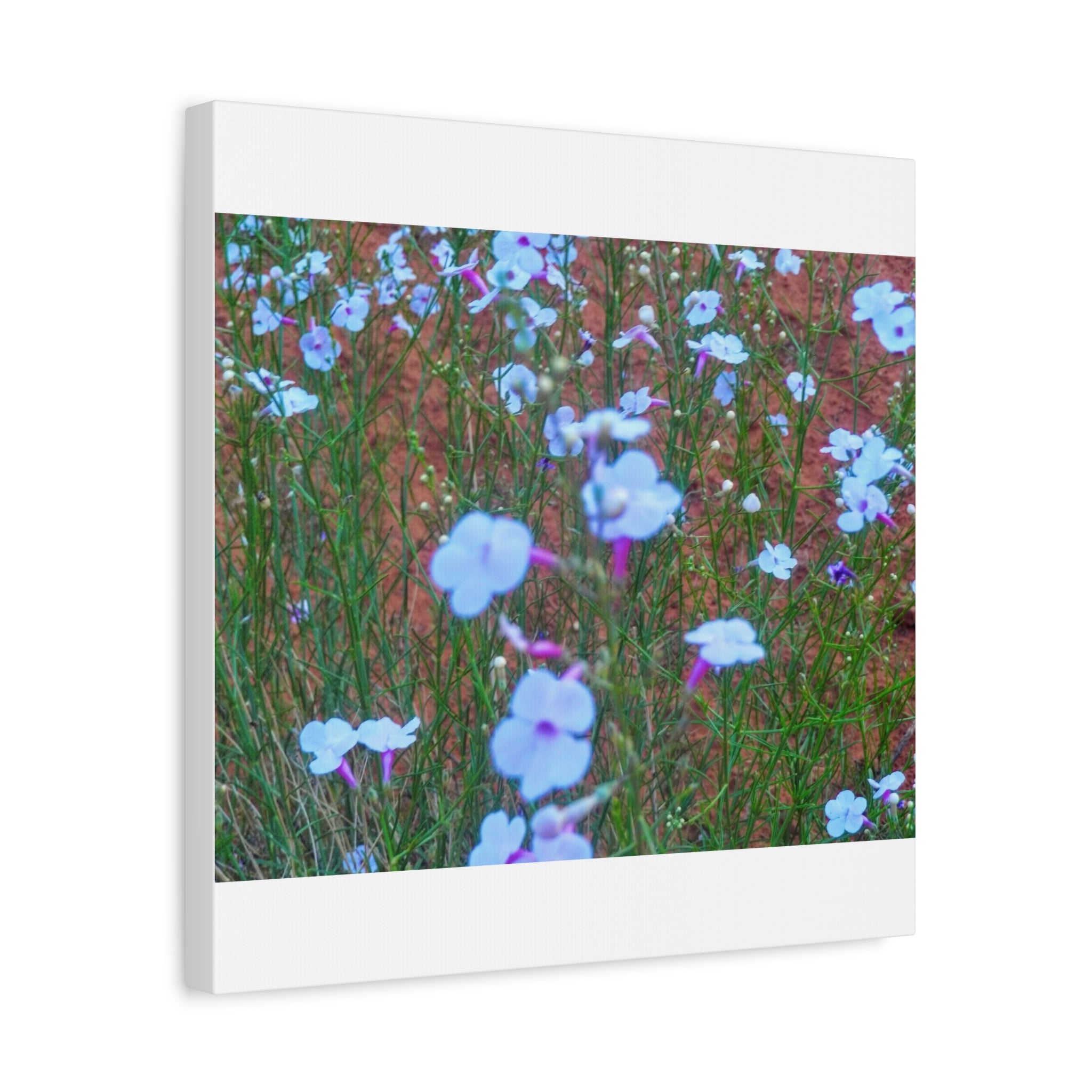 Floral Canvas Wall Art, Home Decor, Wall Hanging, Gift Idea, Nature Art, Flower Print