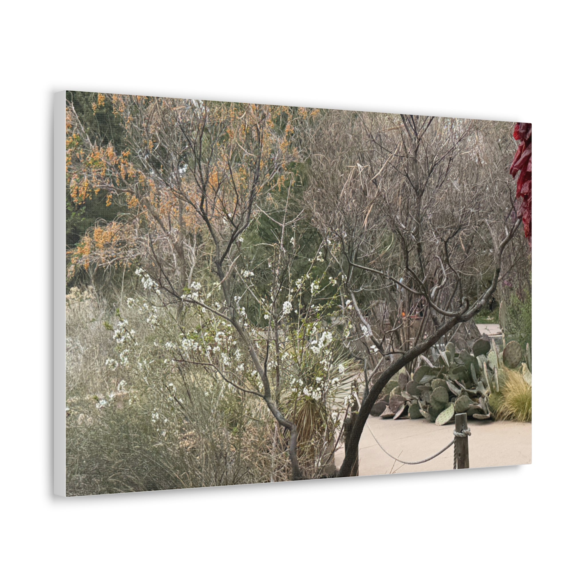 Classic Canvas Art Print, Bohemian Decor, Nature Wall Art, Home Gallery, Rustic Wall Decoration