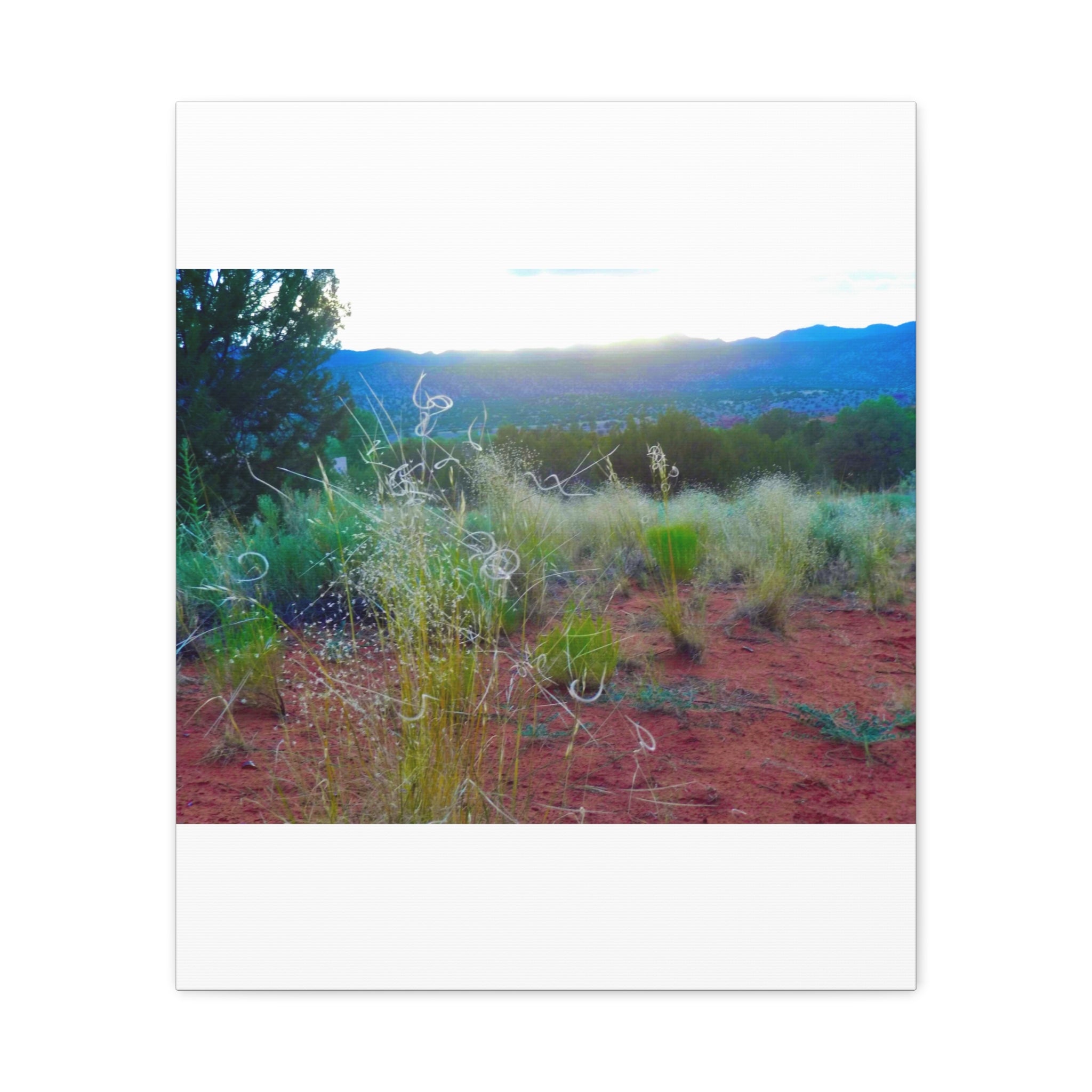 Stretched Canvas Art Print, Nature Wall Decor, Boho Home Decor, Rustic Landscape Art, Gift for Nature Lovers