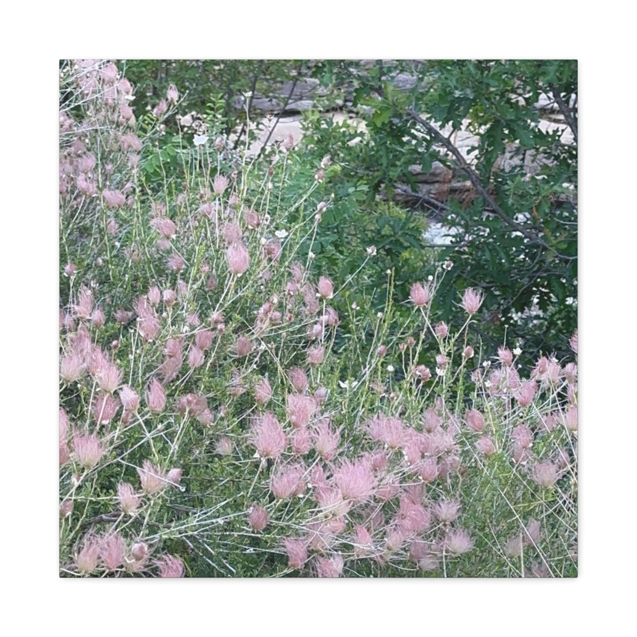 Floral Wall Art Canvas, Home Decor, Nature Lover Gift, Botanical Print, Spring Decor, Mother’s Day