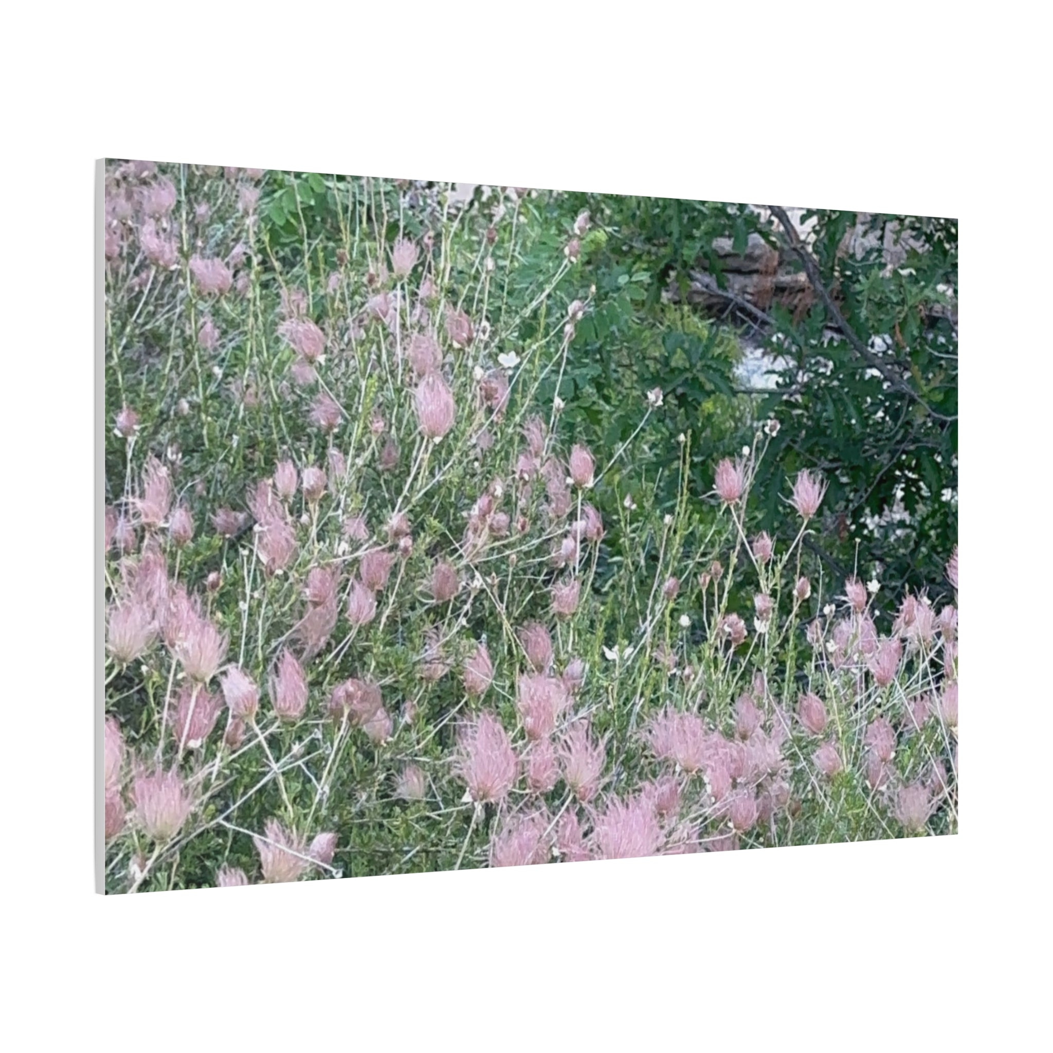 Floral Wall Art Canvas, Home Decor, Nature Lover Gift, Botanical Print, Spring Decor, Mother’s Day