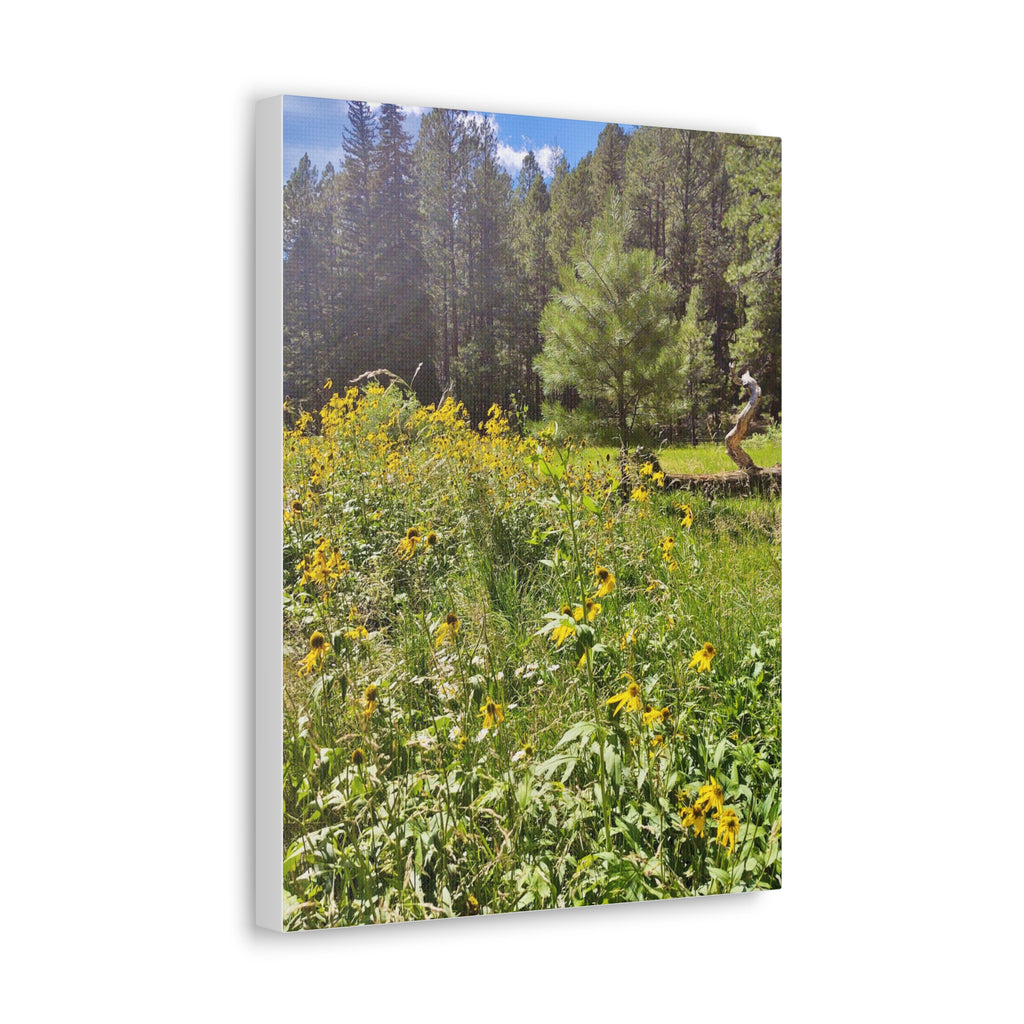 Canvas Wall Art, Nature Photography Decor, Floral Home Decor, Greenery Art Print, Gift for Nature Lovers