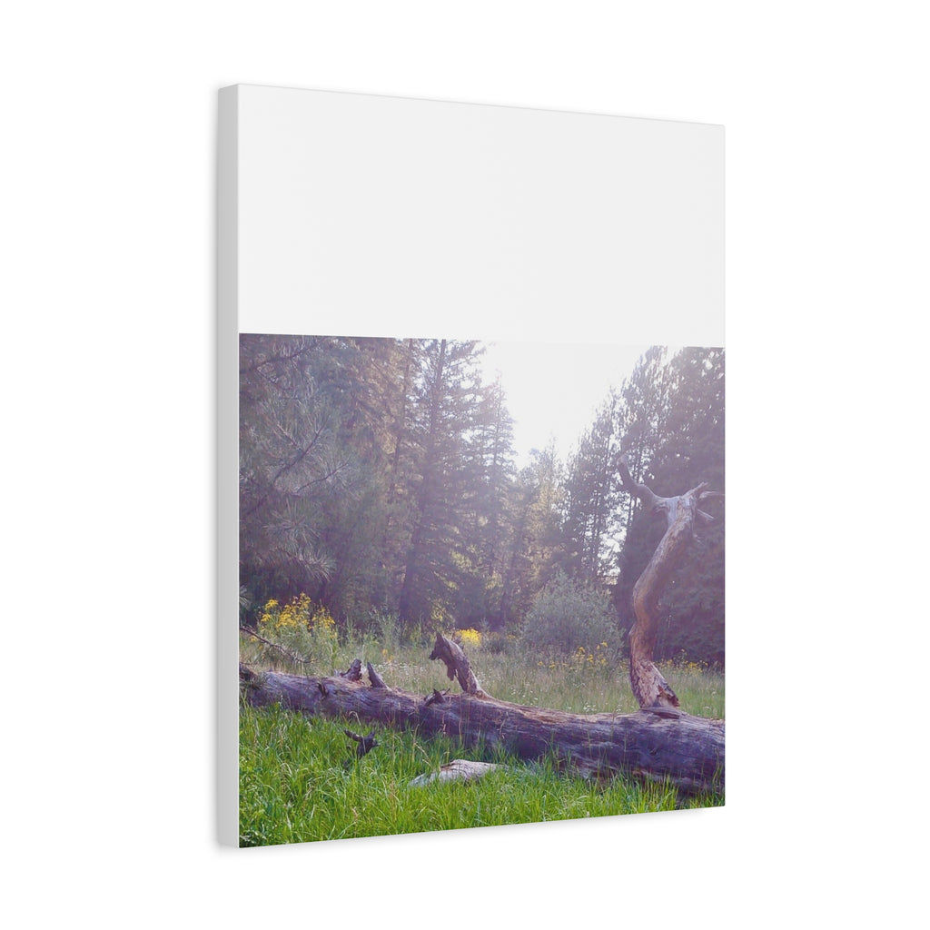 Matte Canvas Wall Art - Serene Nature Scene, Perfect for Home Decor, Gift for Nature Lovers, Office Wall Decoration, Rustic Art Print