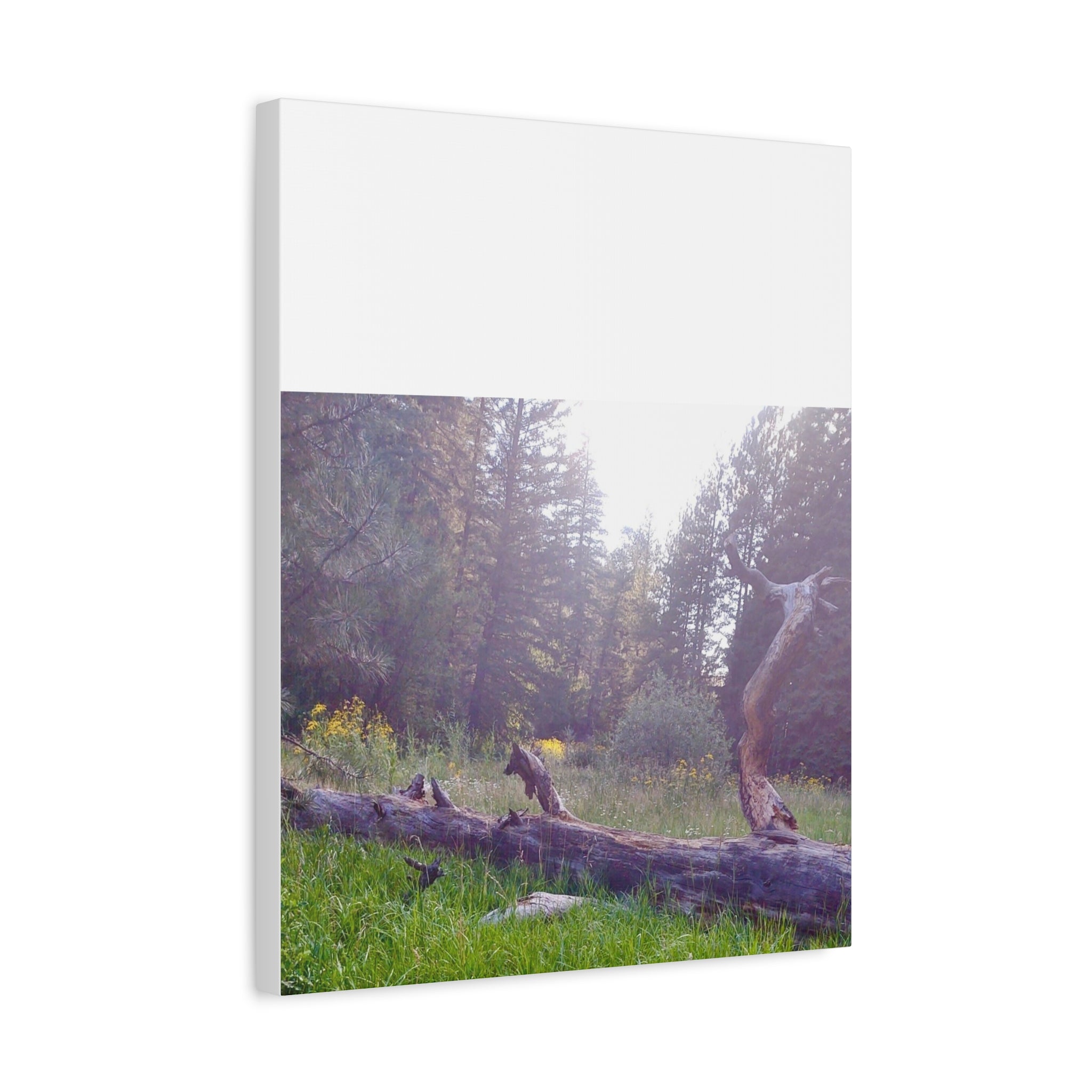 Matte Canvas Wall Art - Serene Nature Scene, Perfect for Home Decor, Gift for Nature Lovers, Office Wall Decoration, Rustic Art Print