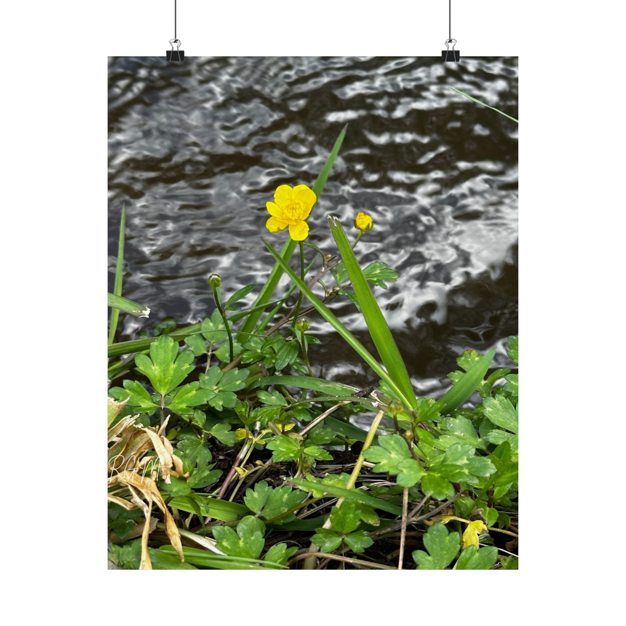 Nature-Inspired Matte Vertical Posters | Vibrant Floral Art for Home Decor, Gift for Nature Lovers, Wall Art, Eco-Friendly Decor