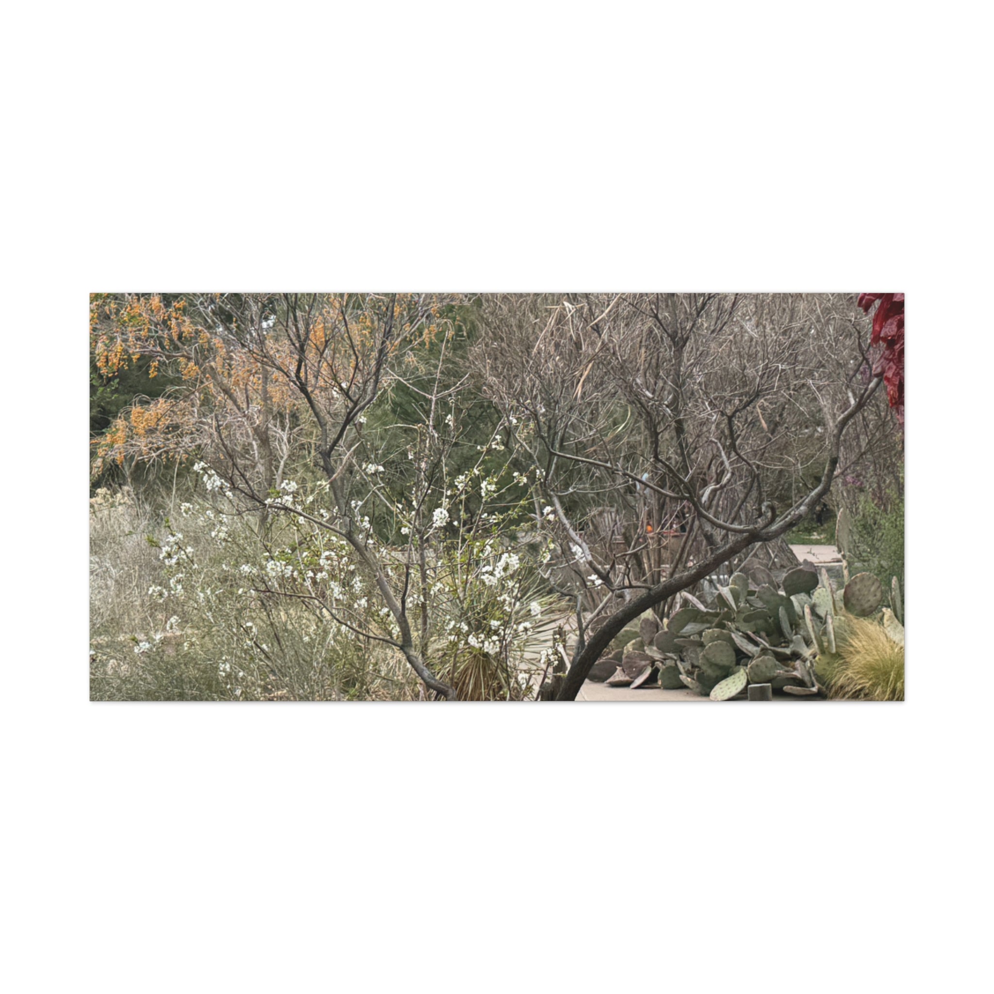 Classic Canvas Art Print, Bohemian Decor, Nature Wall Art, Home Gallery, Rustic Wall Decoration