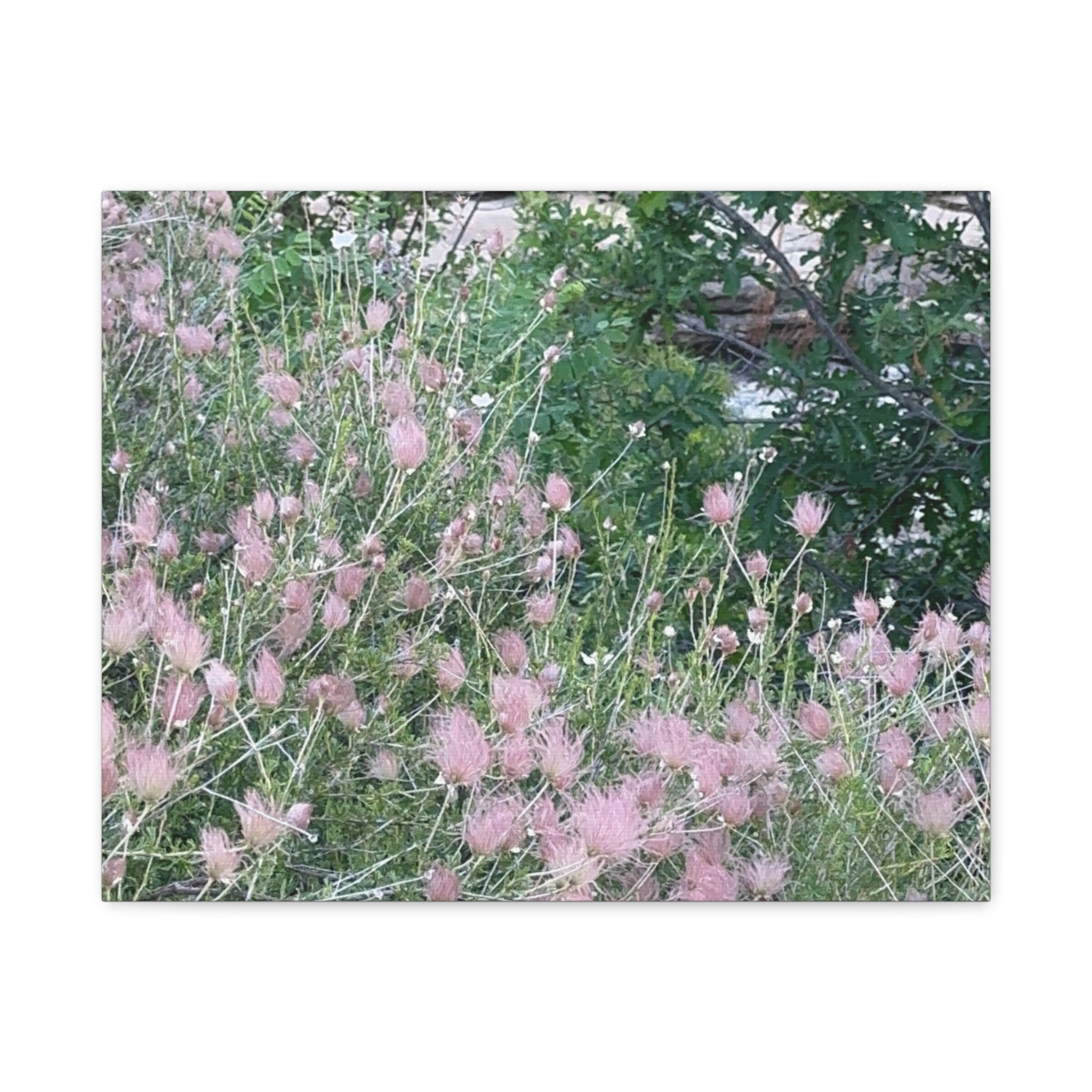 Floral Wall Art Canvas, Home Decor, Nature Lover Gift, Botanical Print, Spring Decor, Mother’s Day