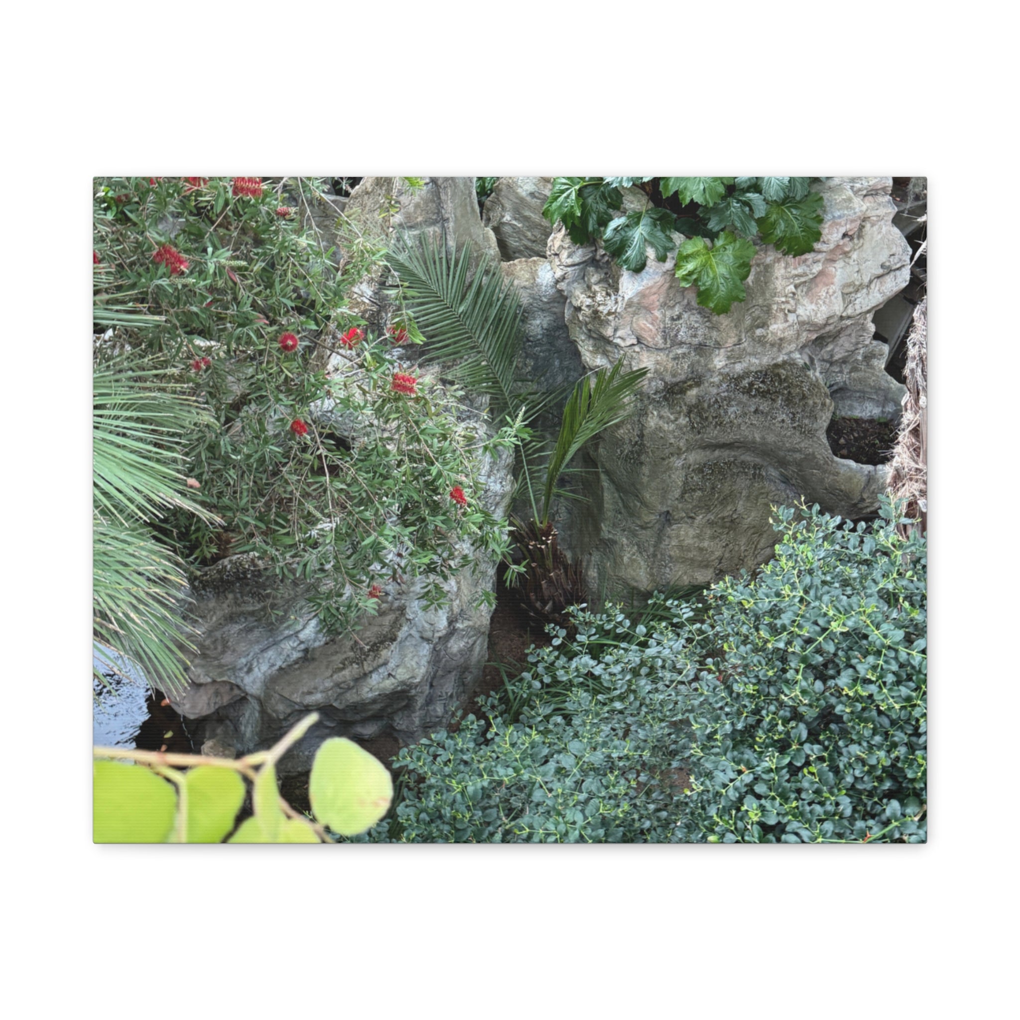 Canvas Wall Art, Tropical Garden Print, Home Decor, Botanical Artwork, Nature Lover Gift, Modern Interior Design