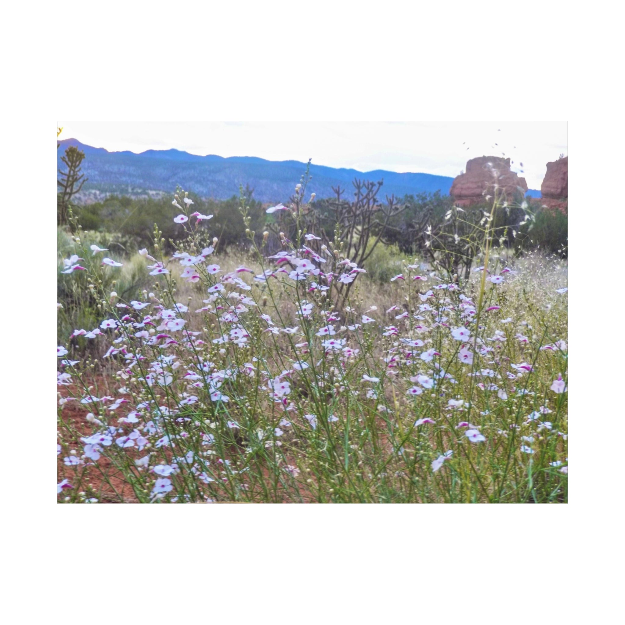 Floral Canvas Art Print, Nature Decor for Home, Wall Art for Office, Gift for Garden Lovers, Botanical Wall Decor, Spring Vibes