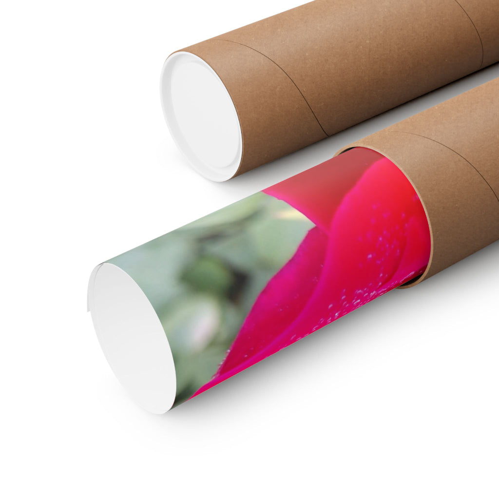 Vibrant Floral Matte Poster, Home Decor, Wall Art, Gift for Her, Red Rose Print, Botanical Wall Art, Romantic Decoration