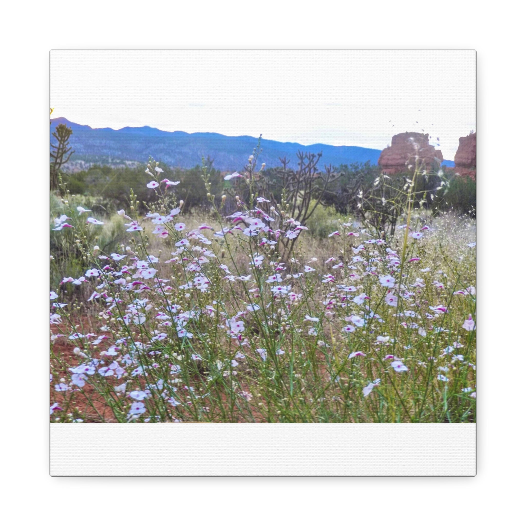 Floral Canvas Art Print, Nature Decor for Home, Wall Art for Office, Gift for Garden Lovers, Botanical Wall Decor, Spring Vibes