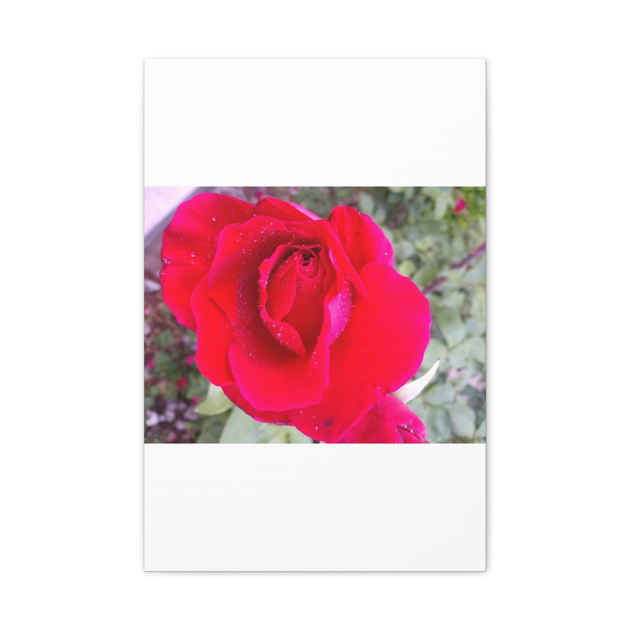 Vibrant Floral Canvas Art, Elegant Wall Decor, Perfect for Home, Gifts, Mother's Day, and Weddings