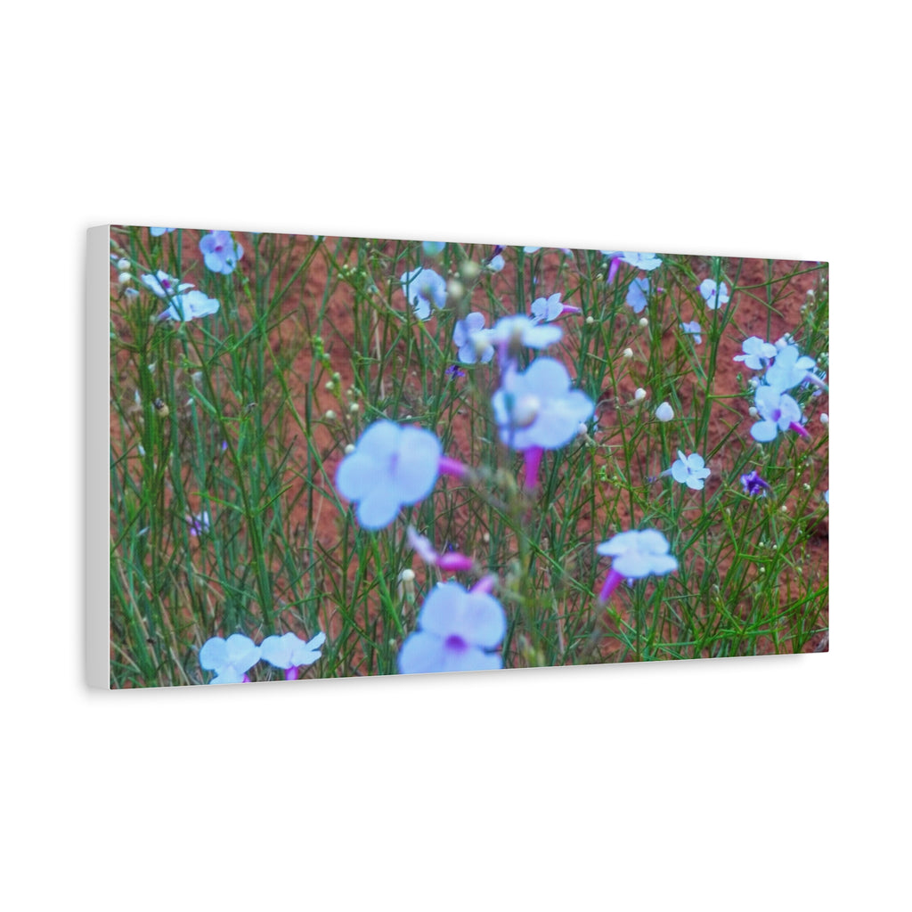 Floral Canvas Wall Art, Home Decor, Wall Hanging, Gift Idea, Nature Art, Flower Print