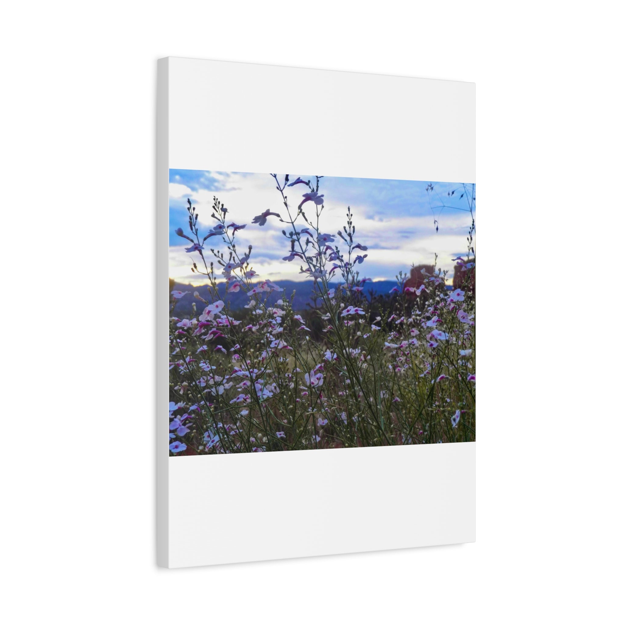 Floral Wall Art Canvas, Nature-Inspired Home Decor, Flower Print, Rustic Living Room, Gift for Gardeners, Boho Wall Art