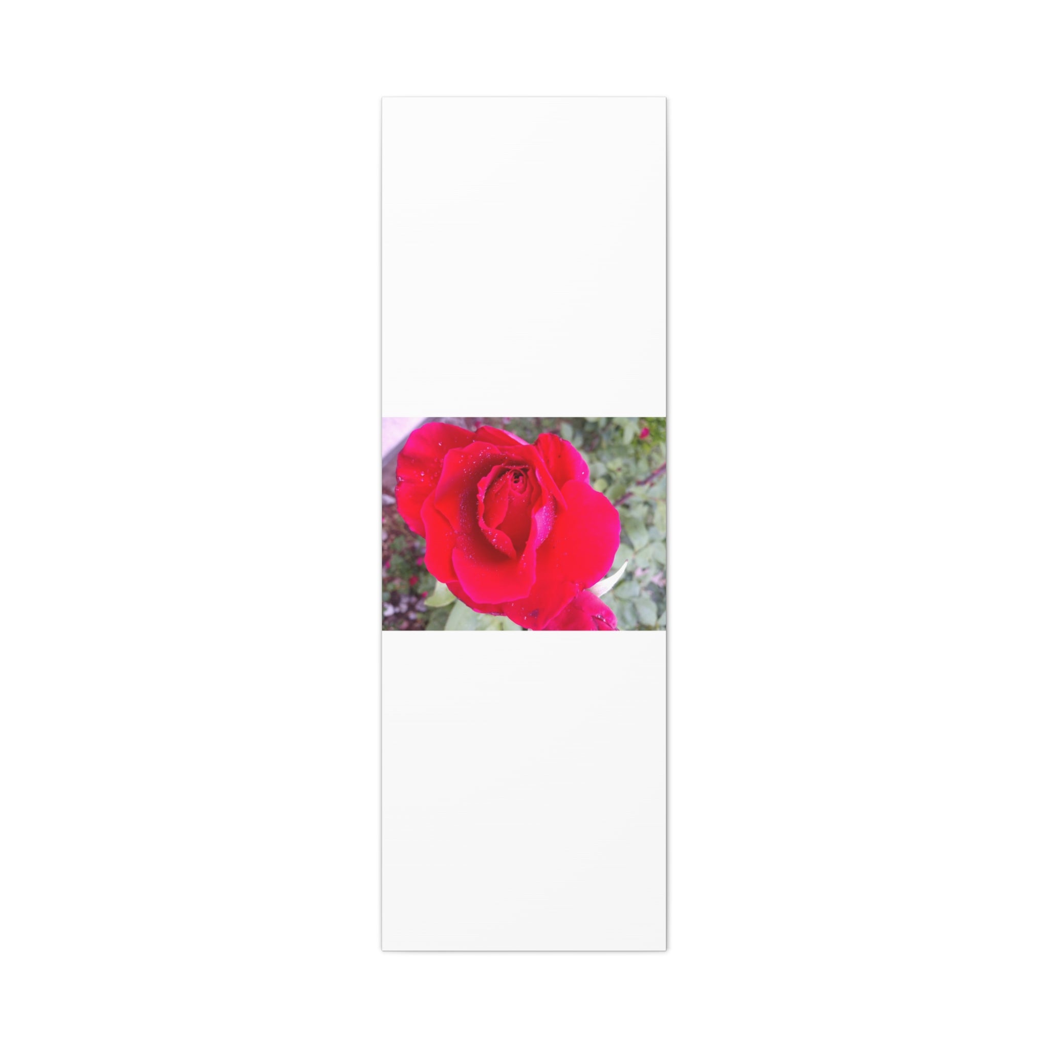 Vibrant Floral Canvas Art, Elegant Wall Decor, Perfect for Home, Gifts, Mother's Day, and Weddings