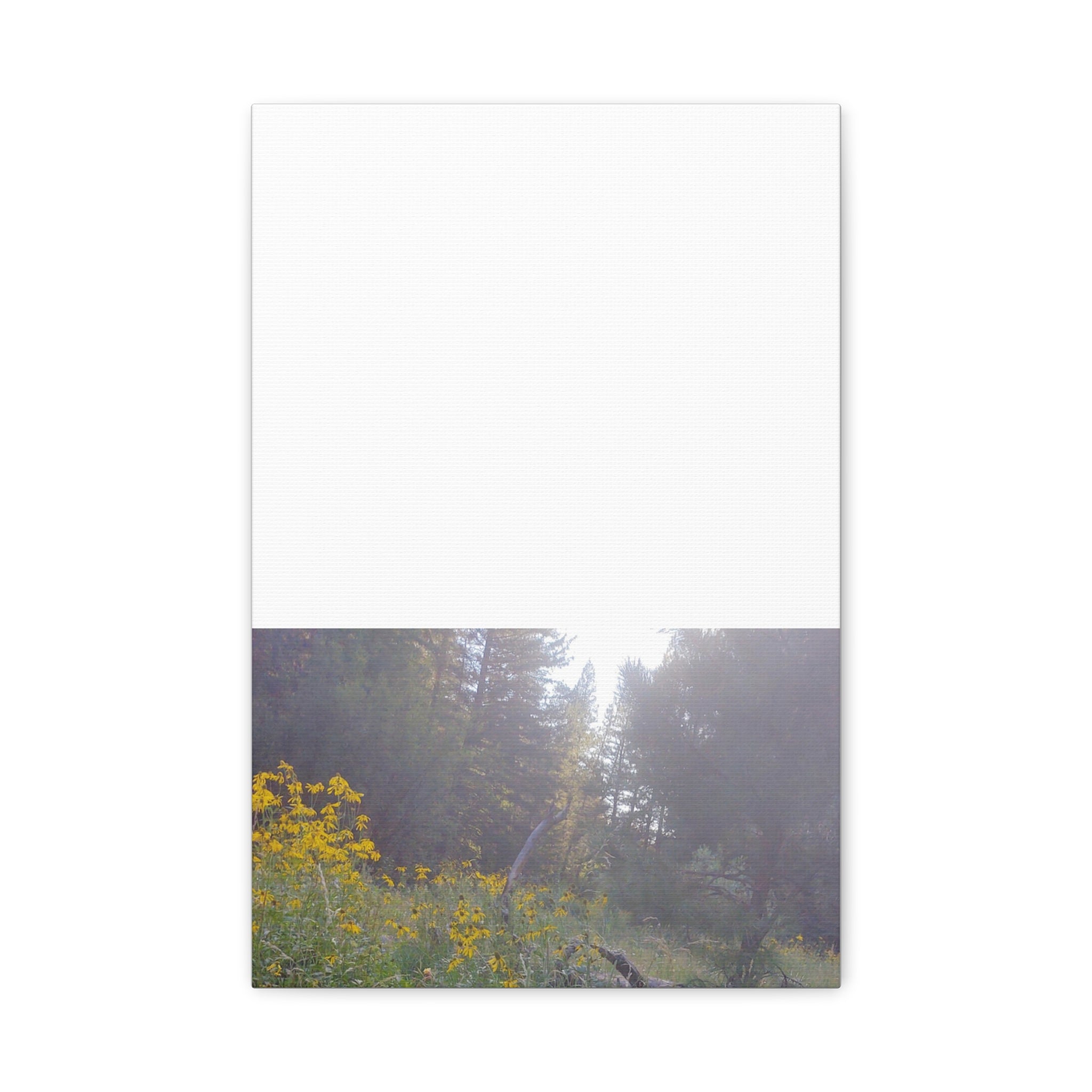 Matte Canvas, Stretched, 1.25"