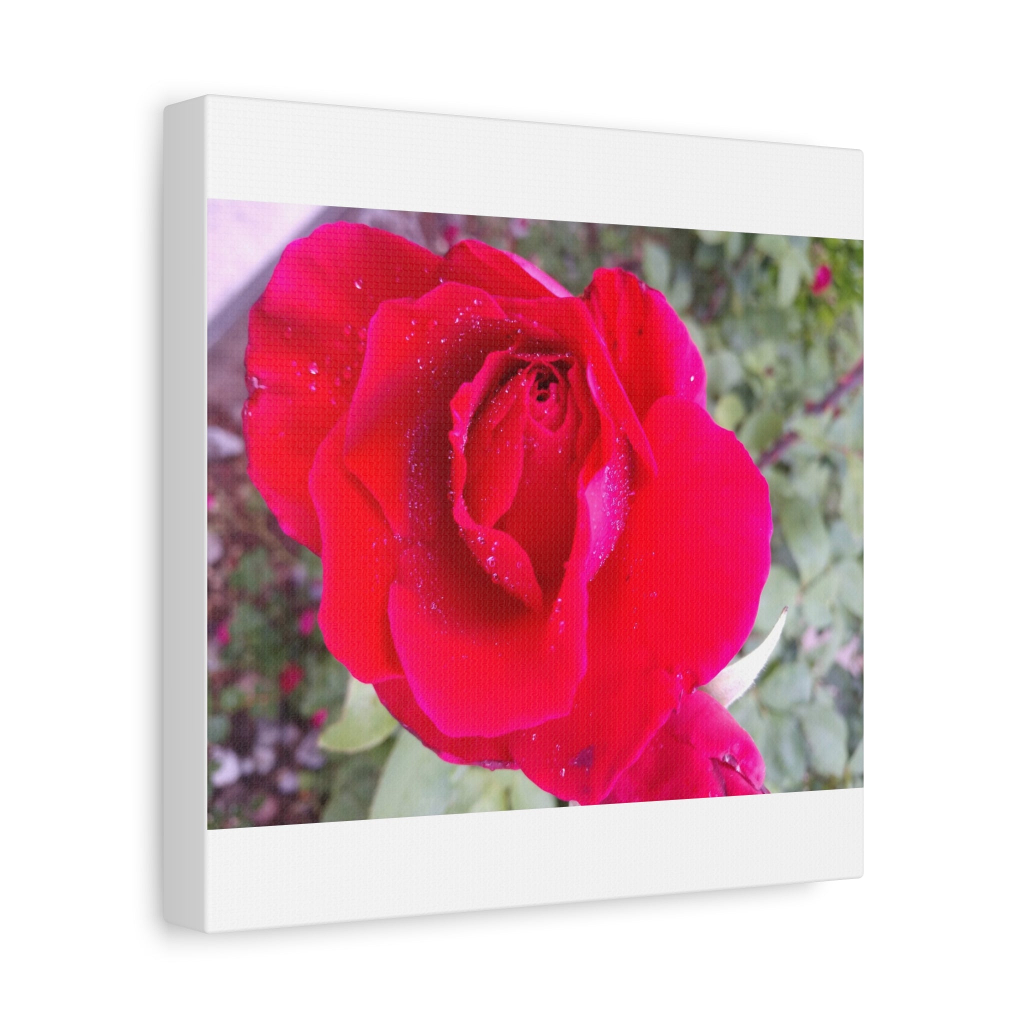 Vibrant Floral Canvas Art, Elegant Wall Decor, Perfect for Home, Gifts, Mother's Day, and Weddings