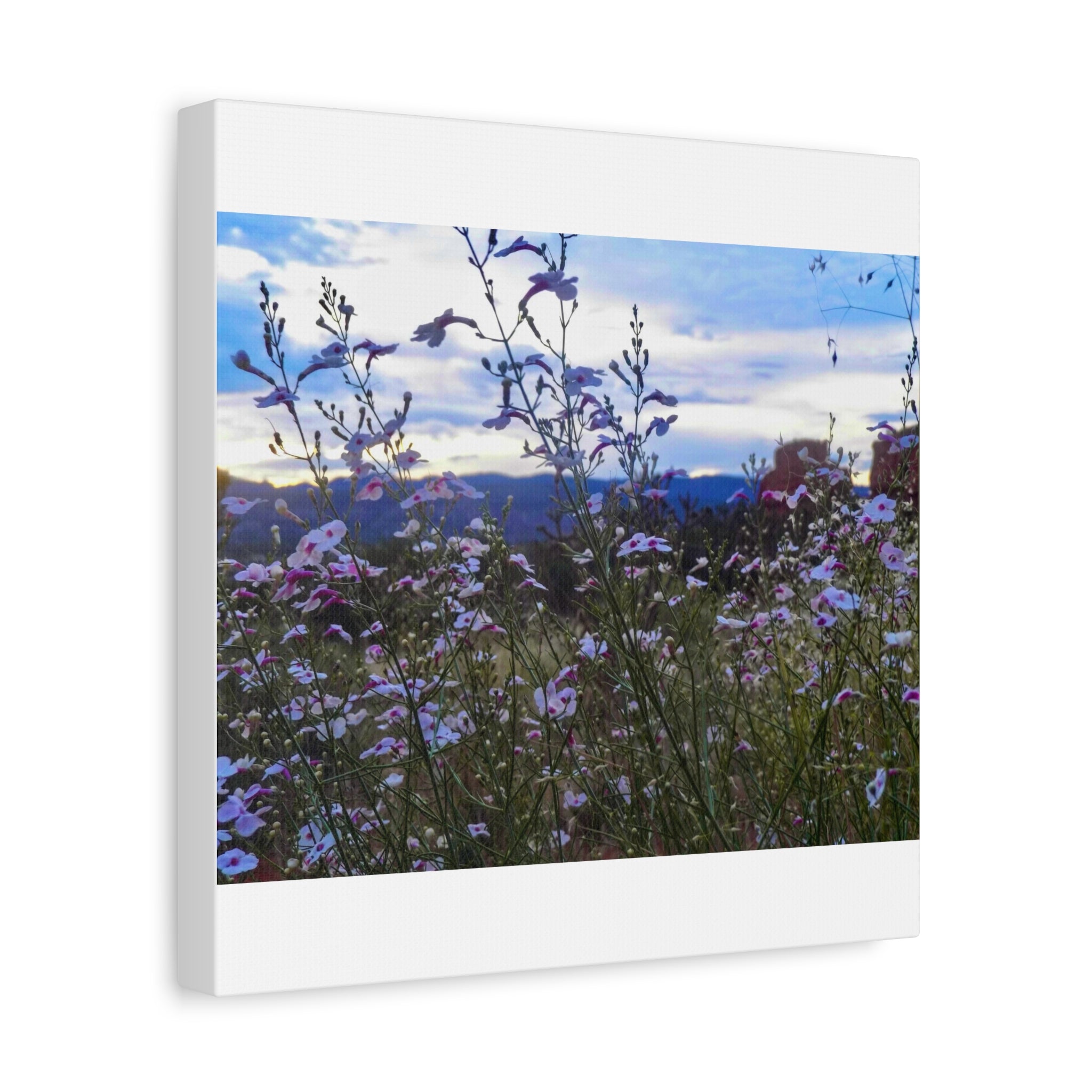 Floral Wall Art Canvas, Nature-Inspired Home Decor, Flower Print, Rustic Living Room, Gift for Gardeners, Boho Wall Art