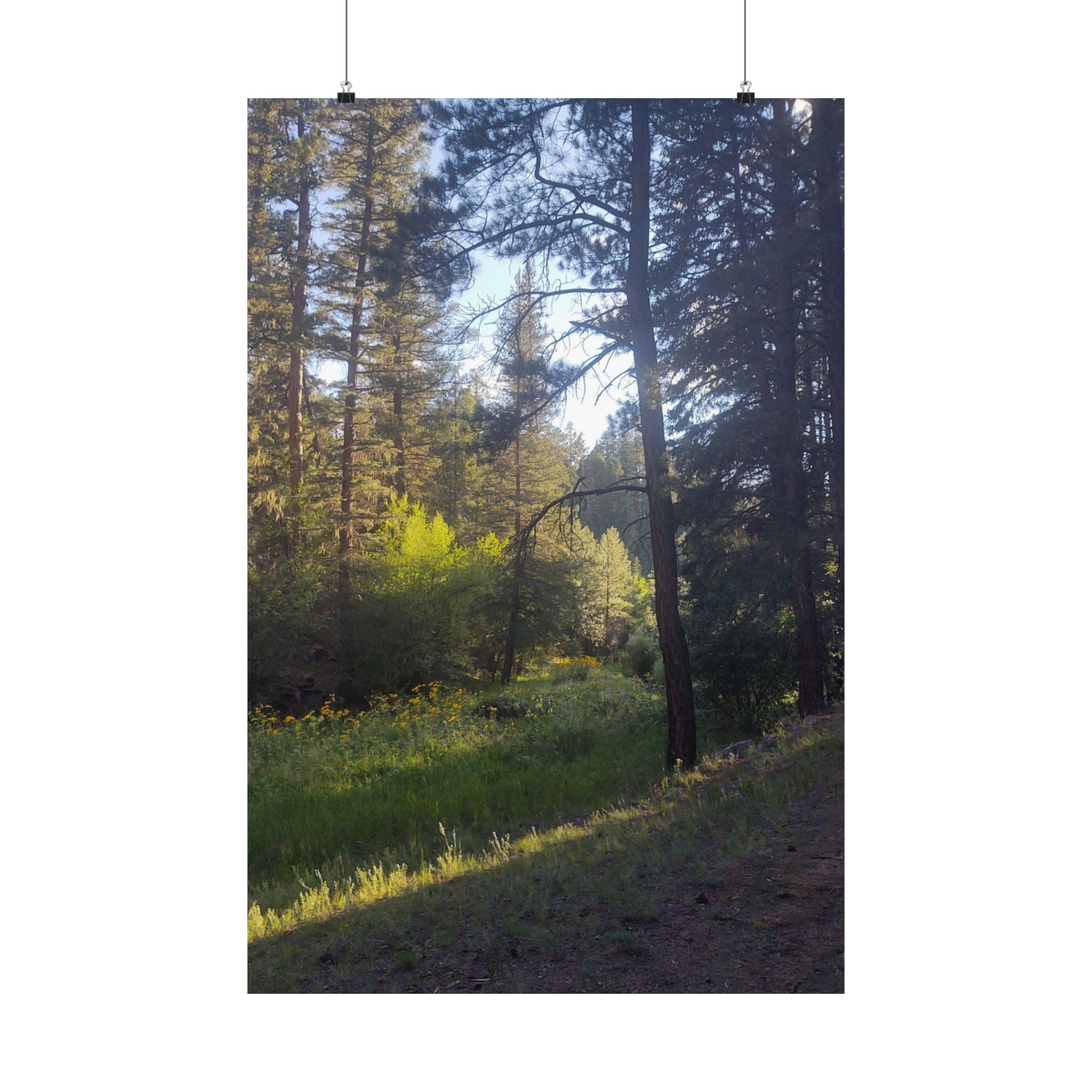 Nature-Inspired Vertical Posters, Scenic Wall Art, Home Décor, Forest Print, Gift for Nature Lovers