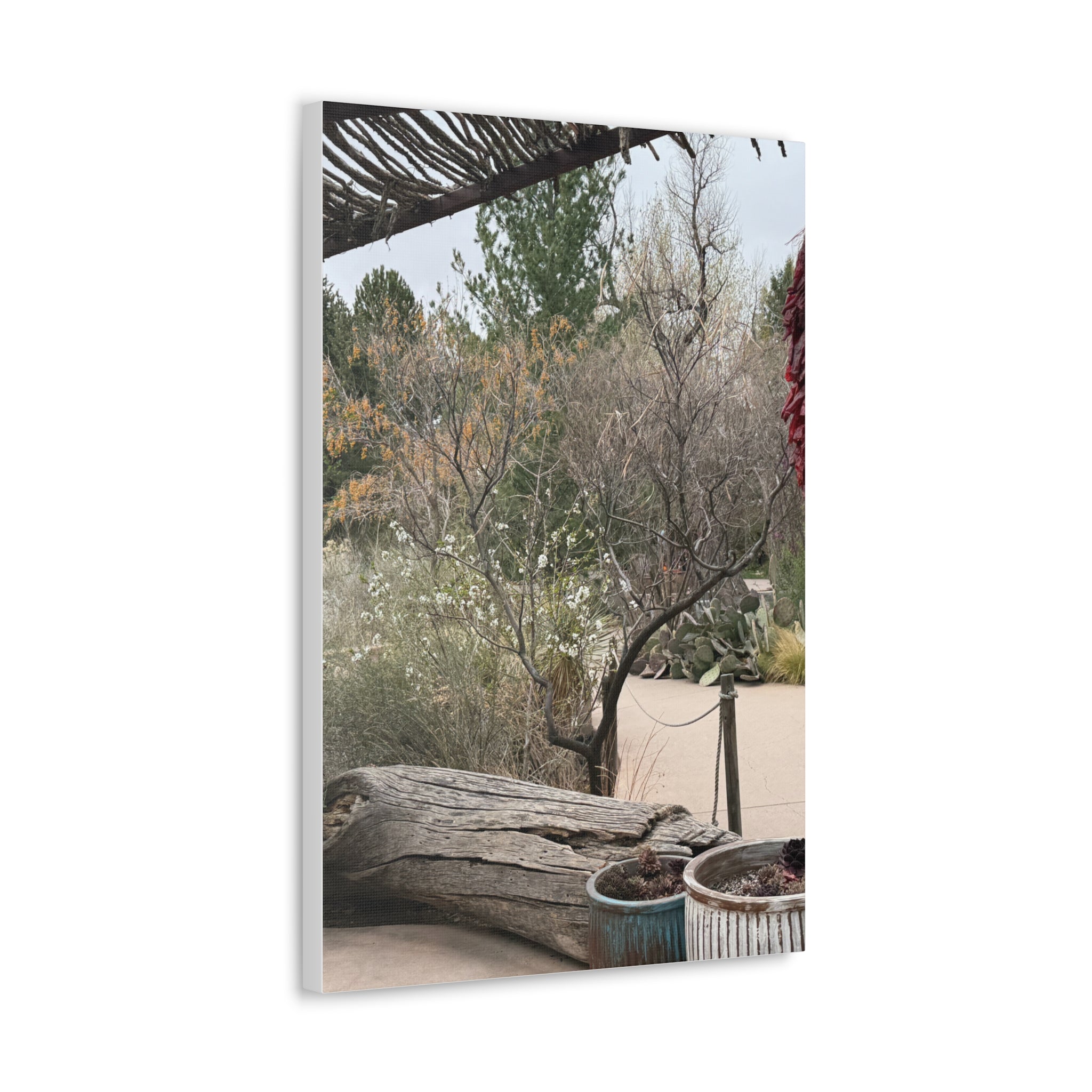 Classic Canvas Art Print, Bohemian Decor, Nature Wall Art, Home Gallery, Rustic Wall Decoration