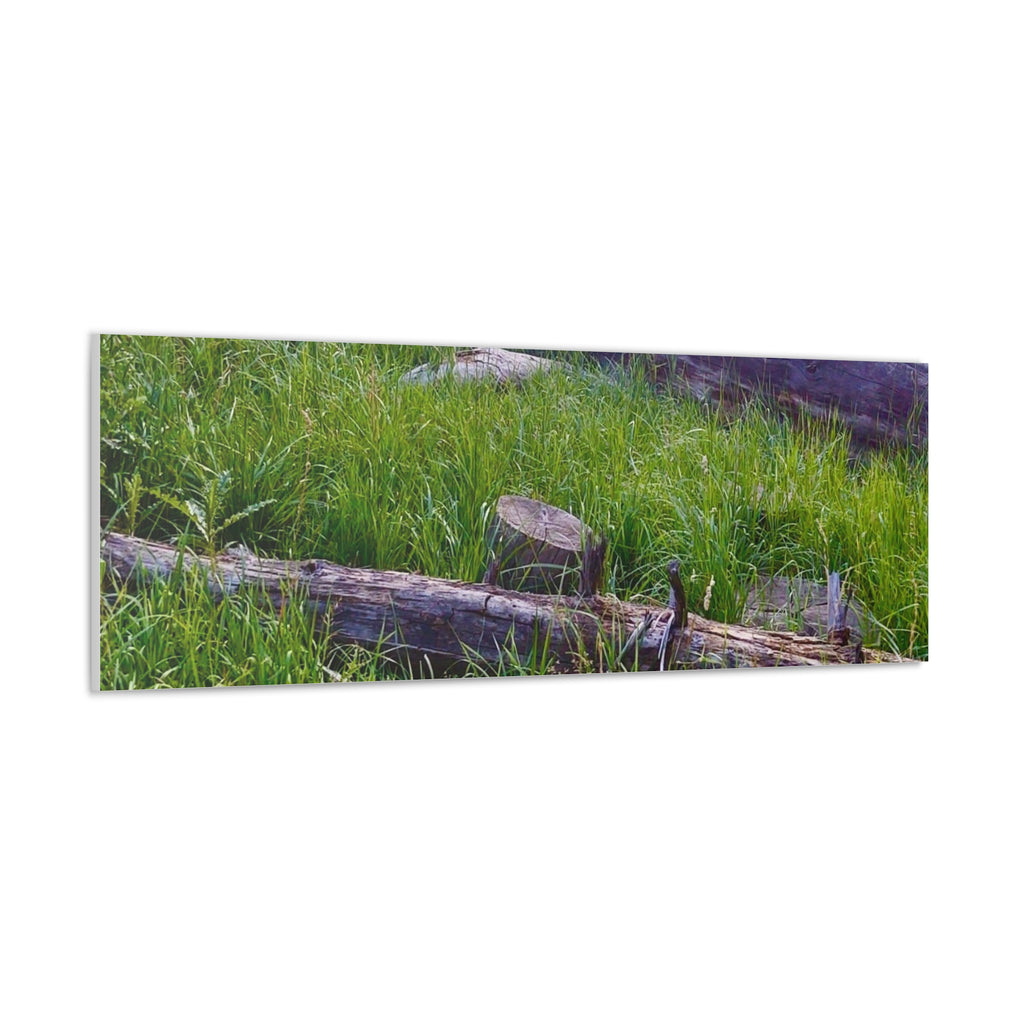 Classic Canvas Wall Art - Nature Decor, Outdoor Wall Hanging, Home Aesthetic, Gift for Nature Lovers, Rustic Cabin Decor