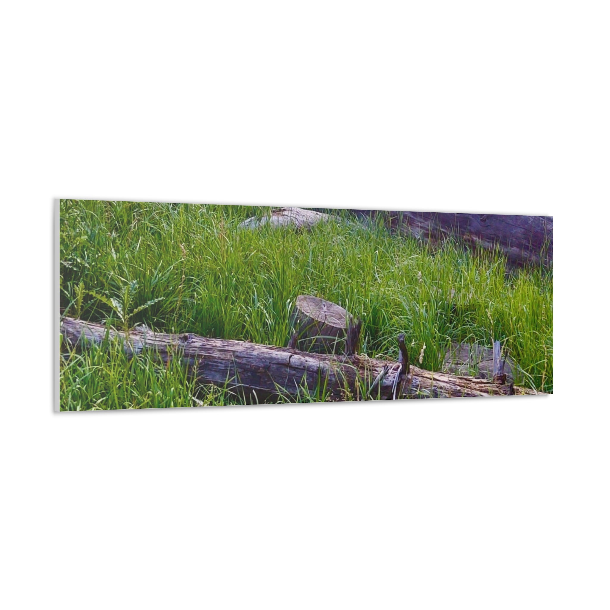 Classic Canvas Wall Art - Nature Decor, Outdoor Wall Hanging, Home Aesthetic, Gift for Nature Lovers, Rustic Cabin Decor