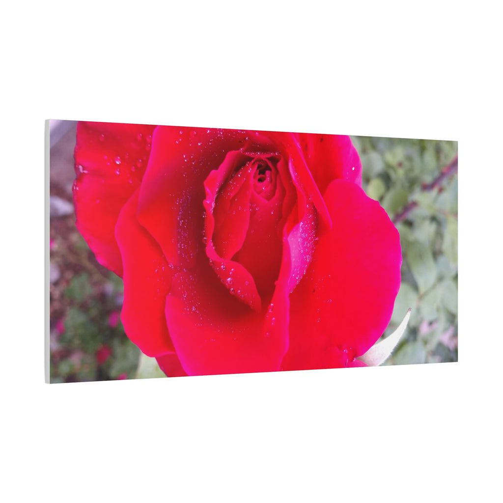 Vibrant Floral Canvas Art, Elegant Wall Decor, Perfect for Home, Gifts, Mother's Day, and Weddings