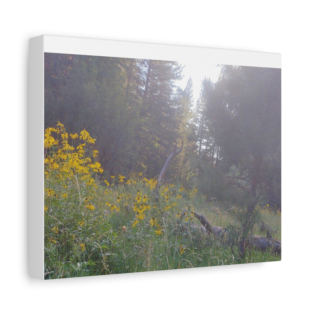 Matte Canvas, Stretched, 1.25"