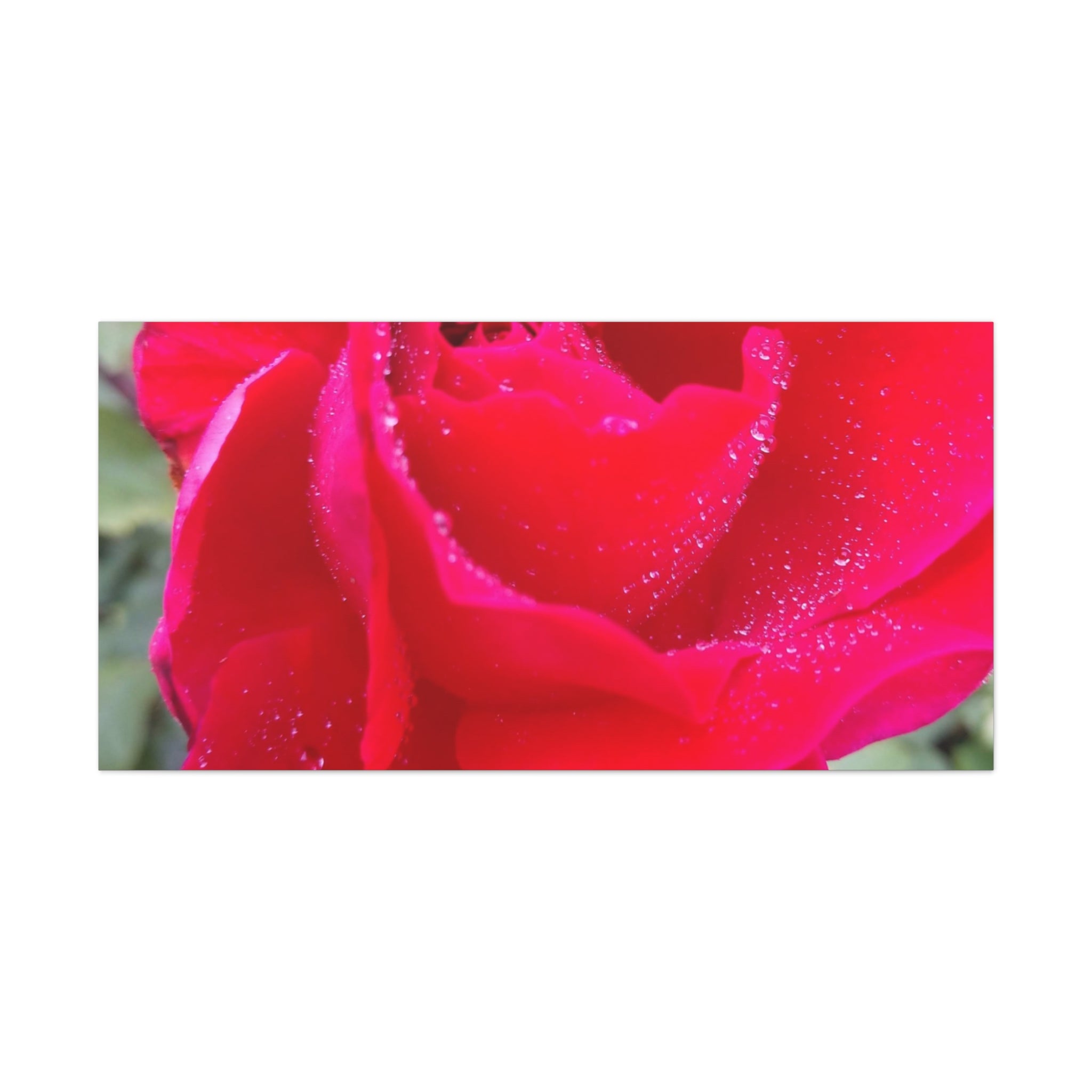 Stunning Floral Canvas Print, Home Decor, Wall Art, Gift for Flower Lovers, Red Rose Art, Mother's Day Gift