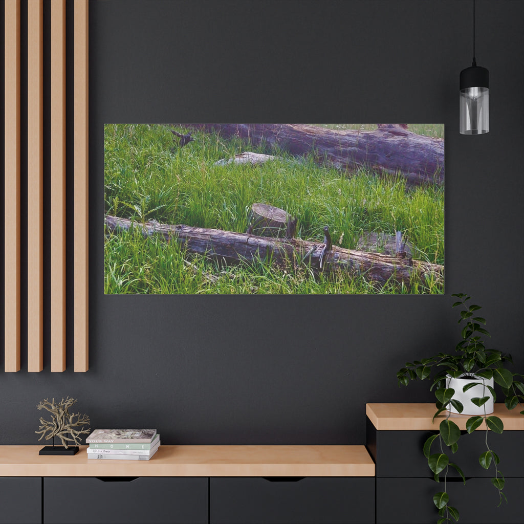 Classic Canvas Wall Art - Nature Decor, Outdoor Wall Hanging, Home Aesthetic, Gift for Nature Lovers, Rustic Cabin Decor