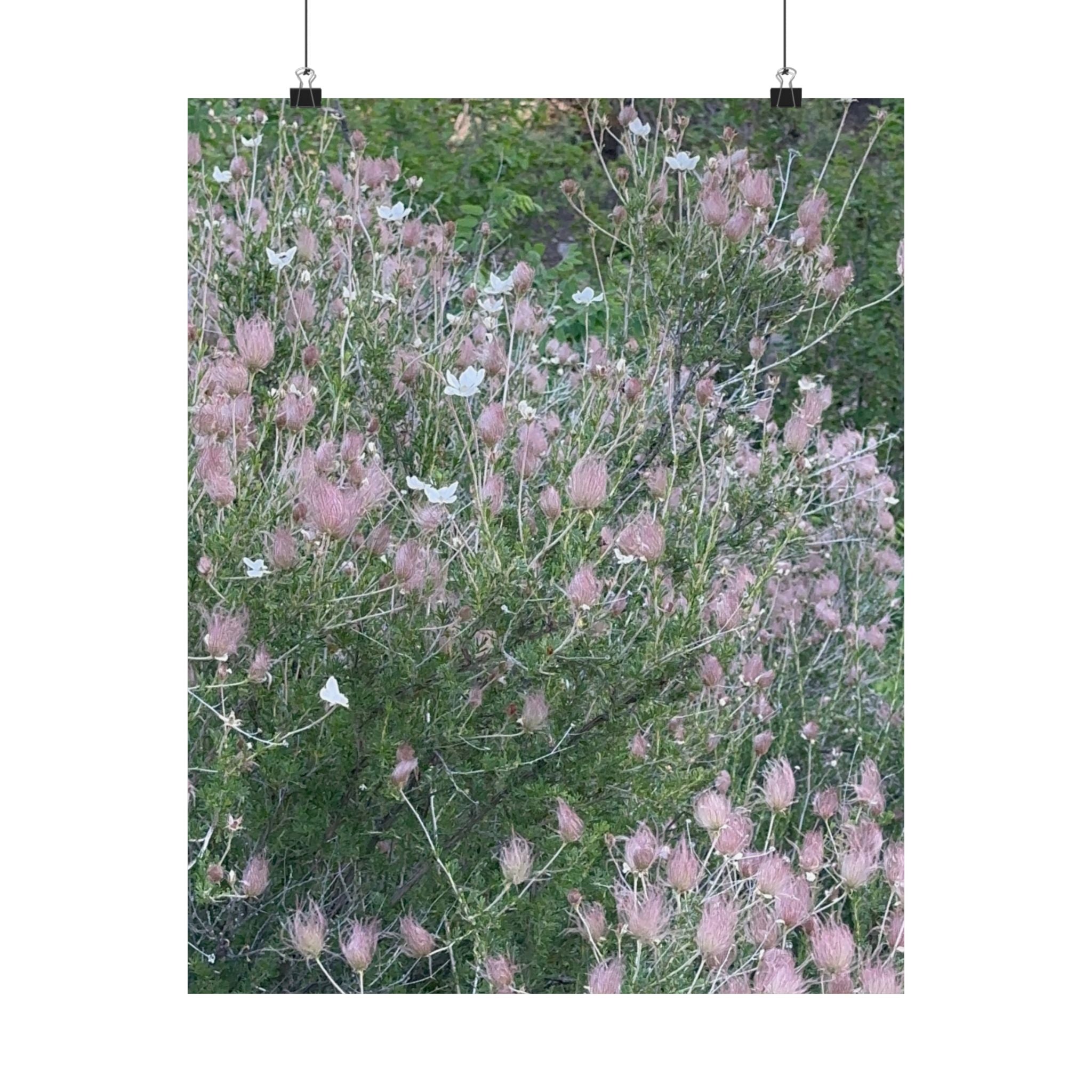 Botanical Vertical Art Print, Pink Floral Poster for Home Decor, Flower Wall Art, Nature-Inspired Artwork, Gift for Garden Lovers