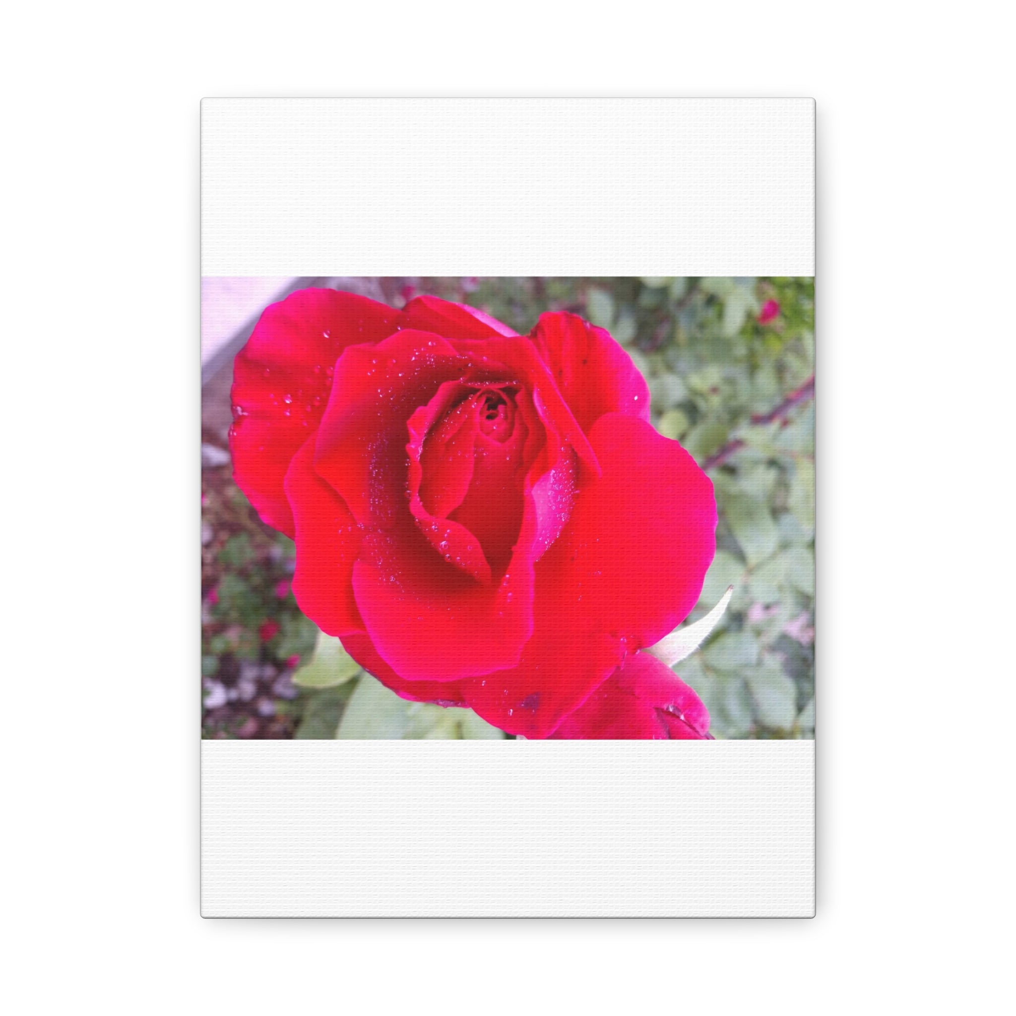 Vibrant Floral Canvas Art, Elegant Wall Decor, Perfect for Home, Gifts, Mother's Day, and Weddings