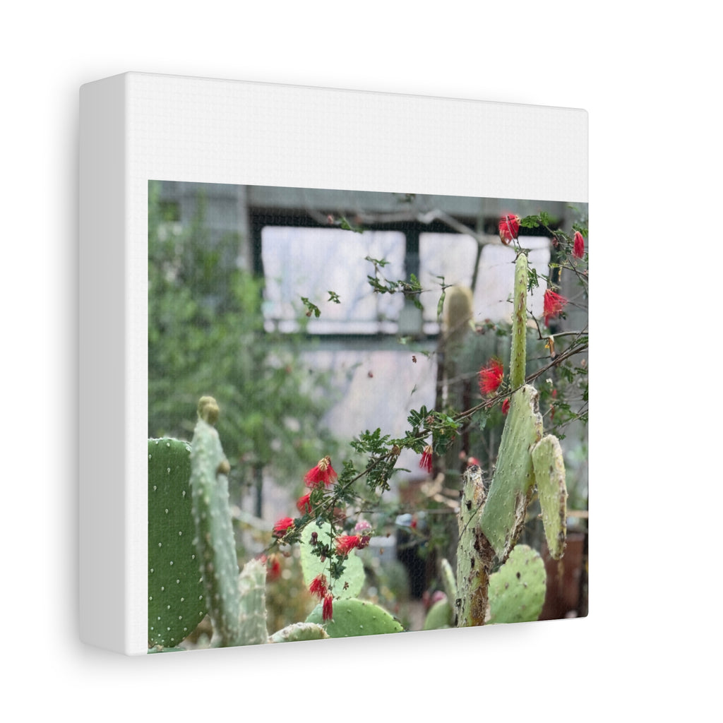 Cactus Wall Art Print, Nature Home Decor, Bohemian Style Artwork, Botanical Gift, Succulent Canvas