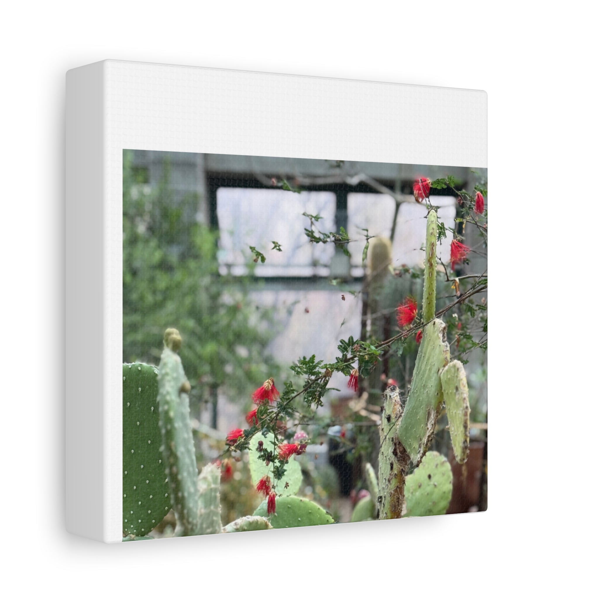 Cactus Wall Art Print, Nature Home Decor, Bohemian Style Artwork, Botanical Gift, Succulent Canvas
