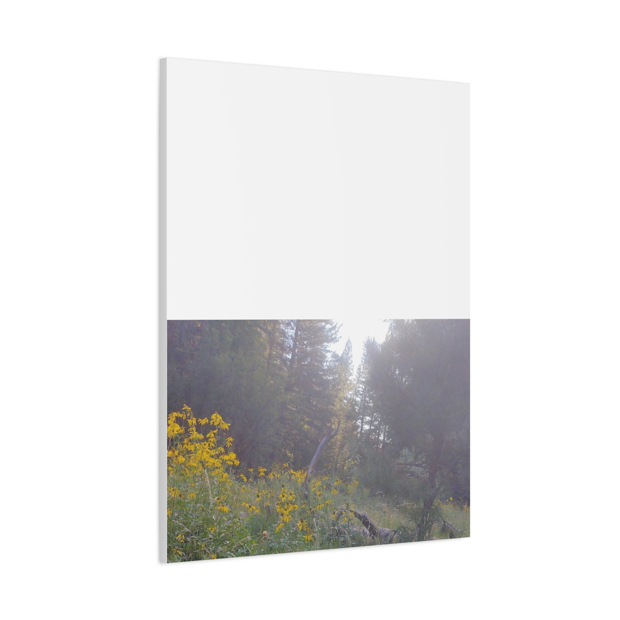 Matte Canvas, Stretched, 1.25"