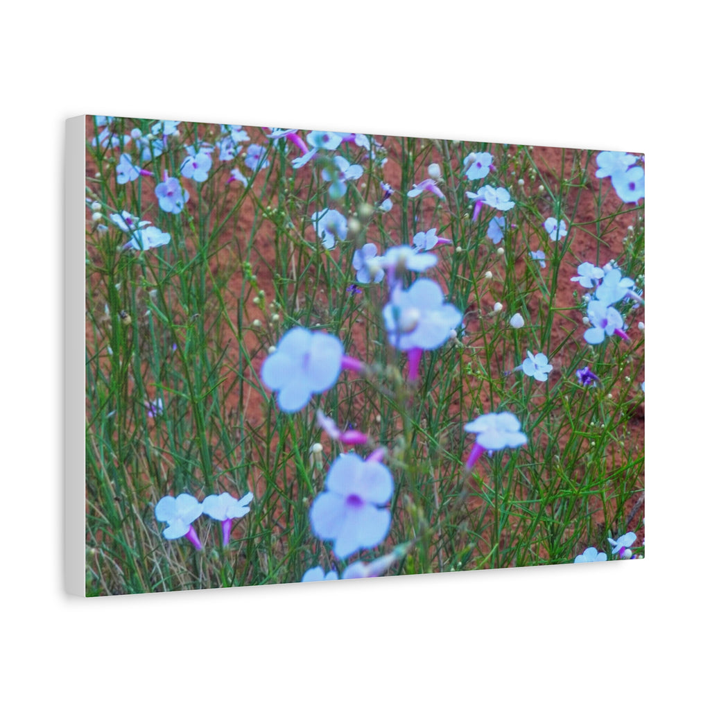 Floral Canvas Wall Art, Home Decor, Wall Hanging, Gift Idea, Nature Art, Flower Print
