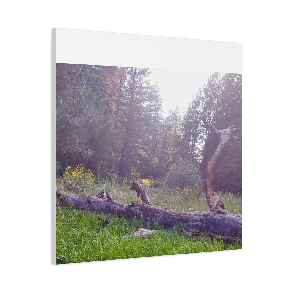 Matte Canvas Wall Art - Serene Nature Scene, Perfect for Home Decor, Gift for Nature Lovers, Office Wall Decoration, Rustic Art Print