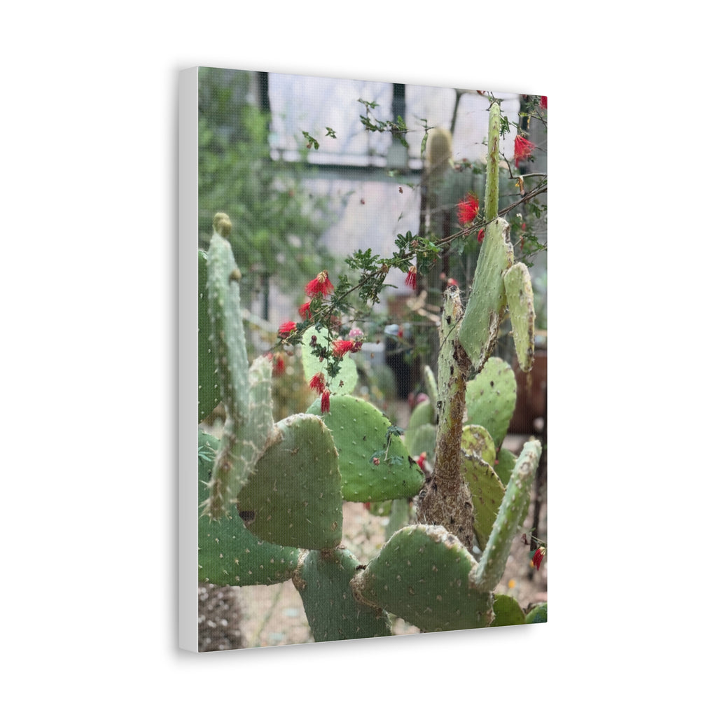 Cactus Artwork Print, Botanical Wall Decor, Succulent Canvas, Nature Lover Gift, Home Decoration