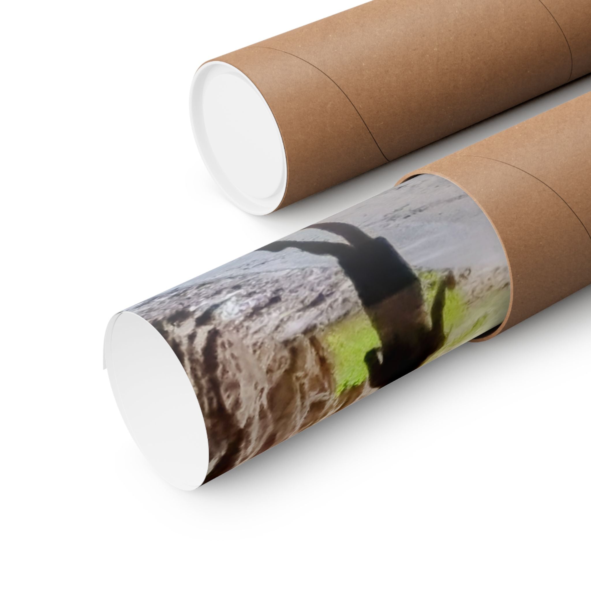 Scenic Vertical Wall Art Posters, Nature Photography Prints for Home Decor, Children Art, Gift for Nature Lovers, Adventure Decor