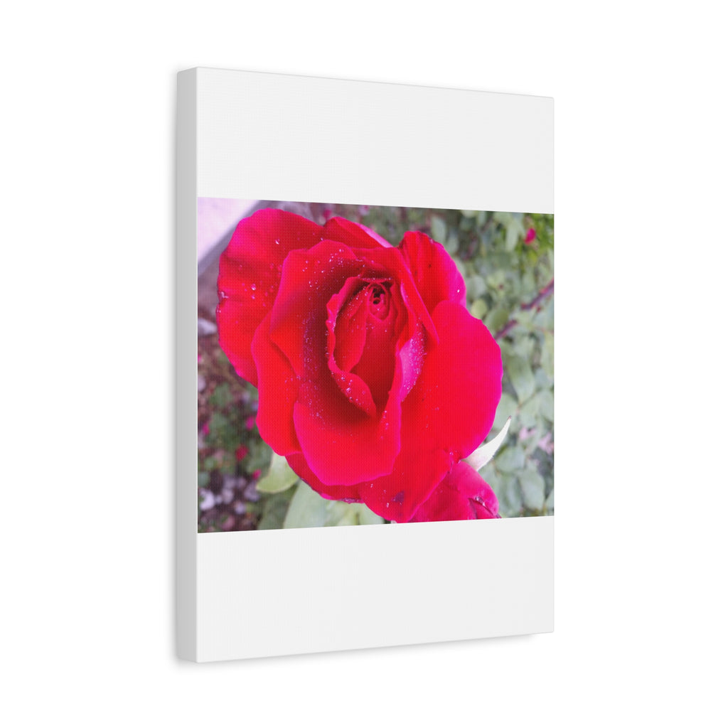 Vibrant Floral Canvas Art, Elegant Wall Decor, Perfect for Home, Gifts, Mother's Day, and Weddings