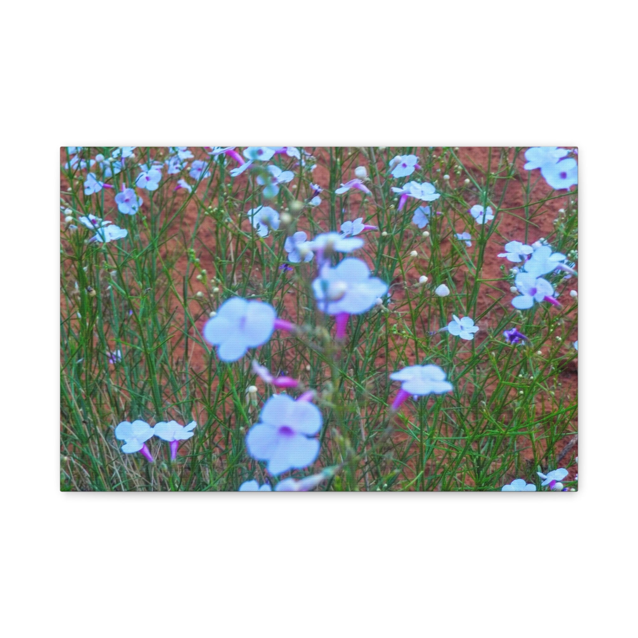 Floral Canvas Wall Art, Home Decor, Wall Hanging, Gift Idea, Nature Art, Flower Print