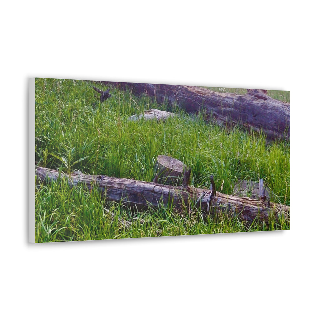 Classic Canvas Wall Art - Nature Decor, Outdoor Wall Hanging, Home Aesthetic, Gift for Nature Lovers, Rustic Cabin Decor