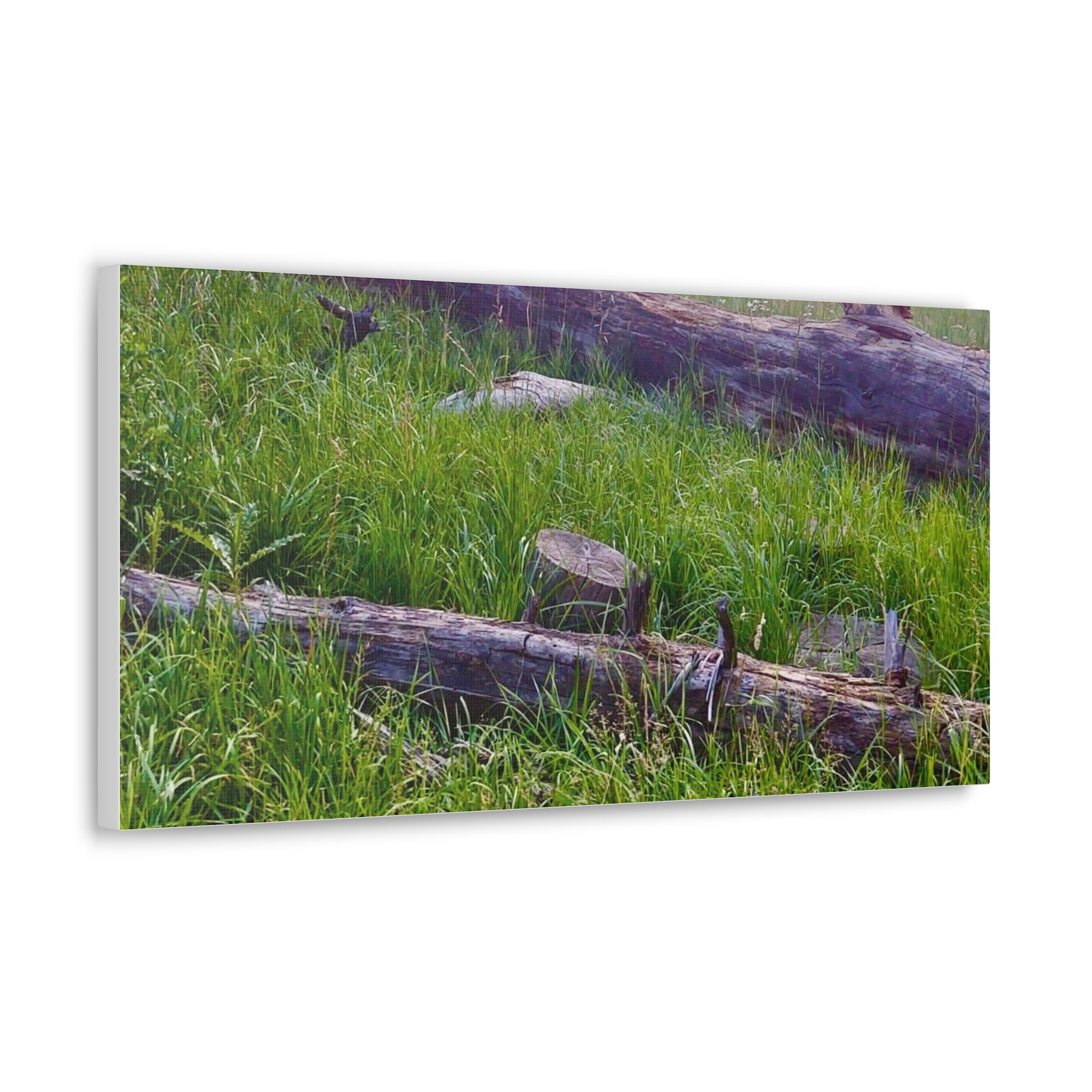 Classic Canvas Wall Art - Nature Decor, Outdoor Wall Hanging, Home Aesthetic, Gift for Nature Lovers, Rustic Cabin Decor