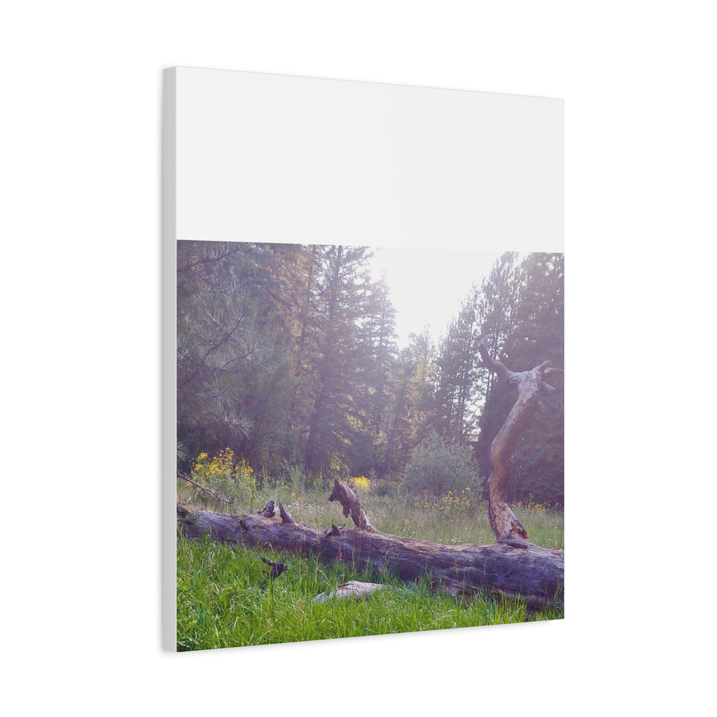 Matte Canvas Wall Art - Serene Nature Scene, Perfect for Home Decor, Gift for Nature Lovers, Office Wall Decoration, Rustic Art Print