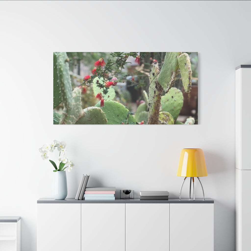 Cactus Artwork Print, Botanical Wall Decor, Succulent Canvas, Nature Lover Gift, Home Decoration