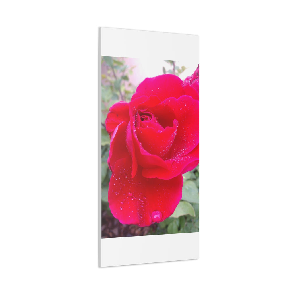 Stunning Floral Canvas Print, Home Decor, Wall Art, Gift for Flower Lovers, Red Rose Art, Mother's Day Gift
