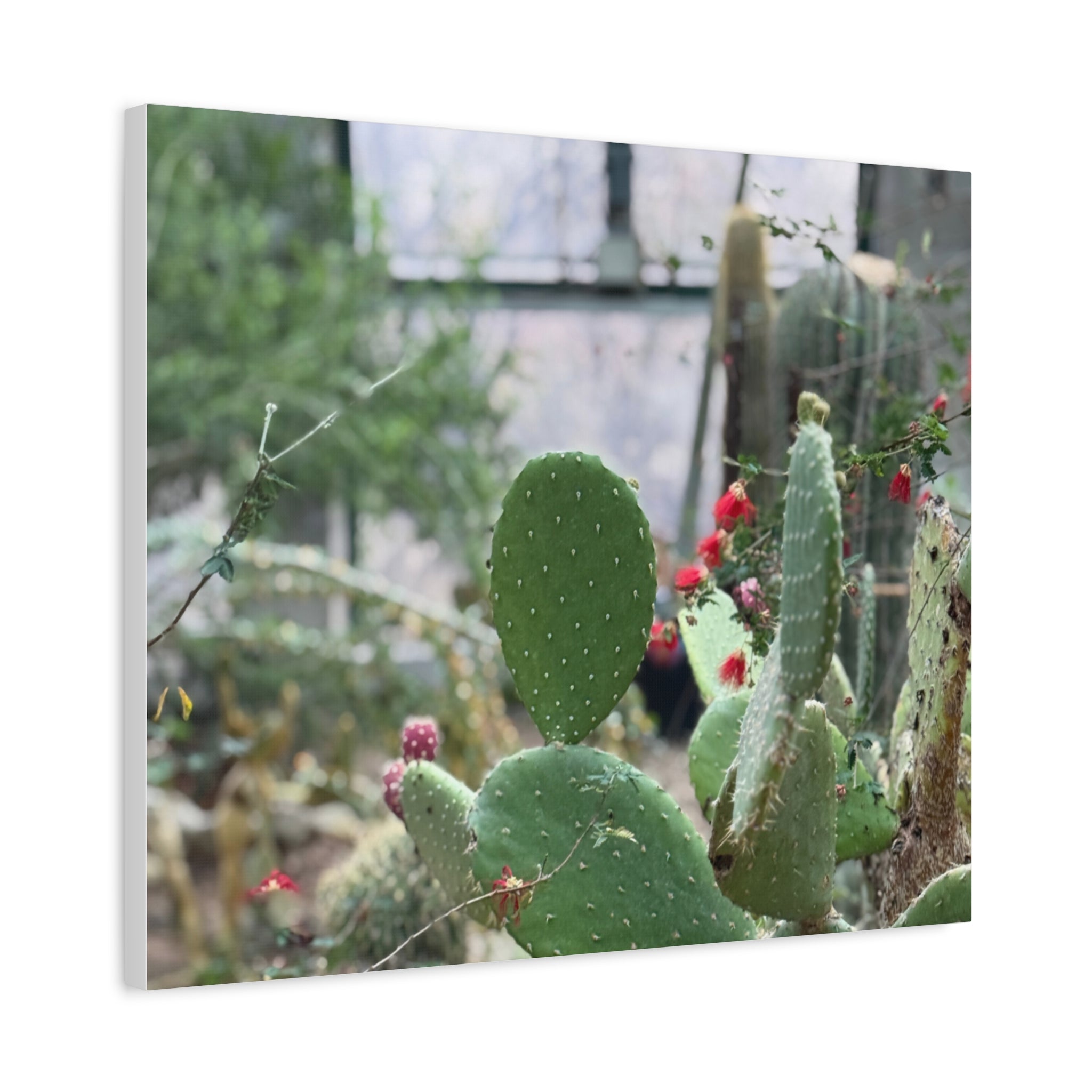 Cactus Matte Canvas Wall Art, Nature Decor, Southwestern Room Design, Green Plant Prints, Home and Office Wall Decor