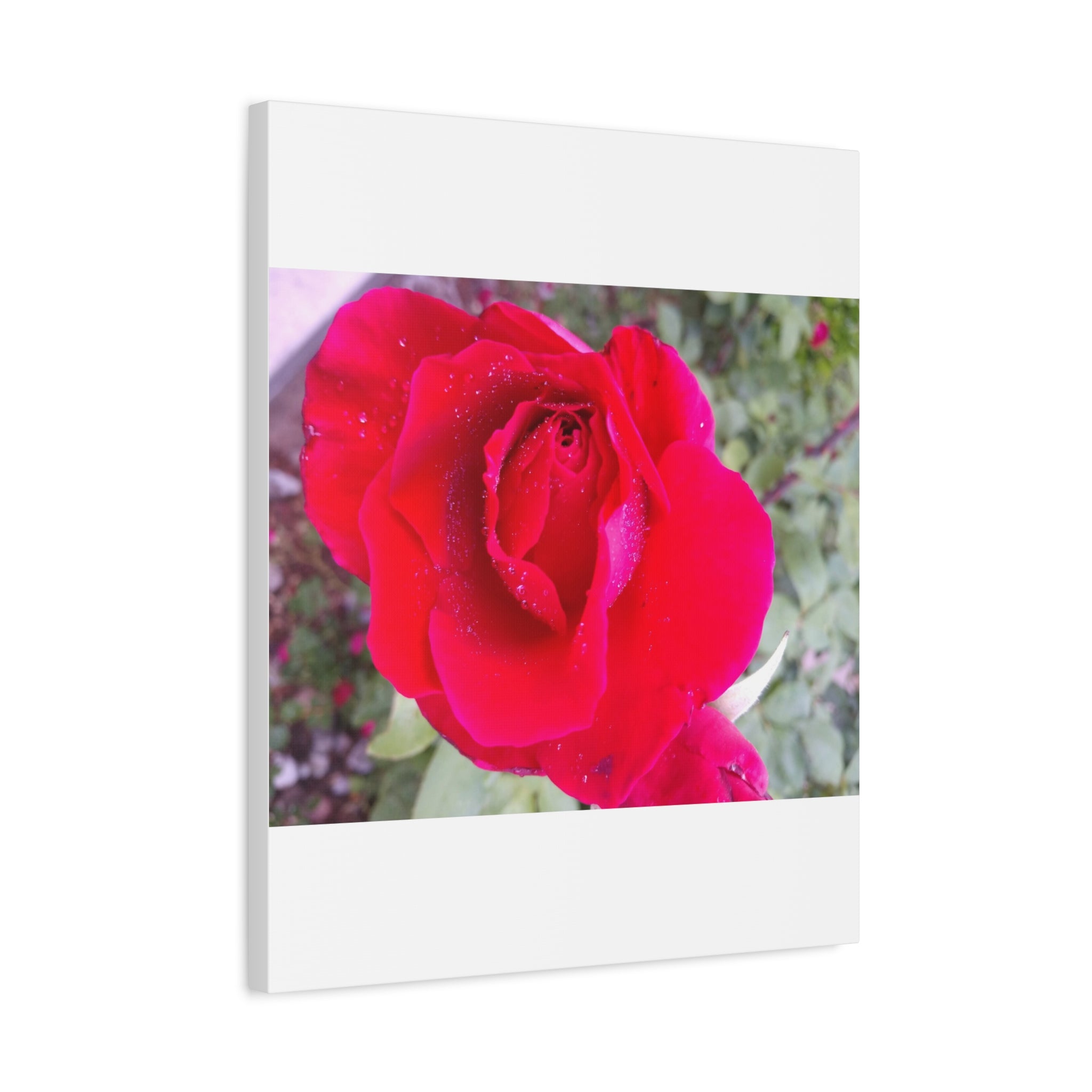 Vibrant Floral Canvas Art, Elegant Wall Decor, Perfect for Home, Gifts, Mother's Day, and Weddings