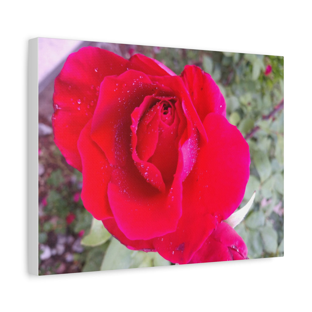 Vibrant Floral Canvas Art, Elegant Wall Decor, Perfect for Home, Gifts, Mother's Day, and Weddings